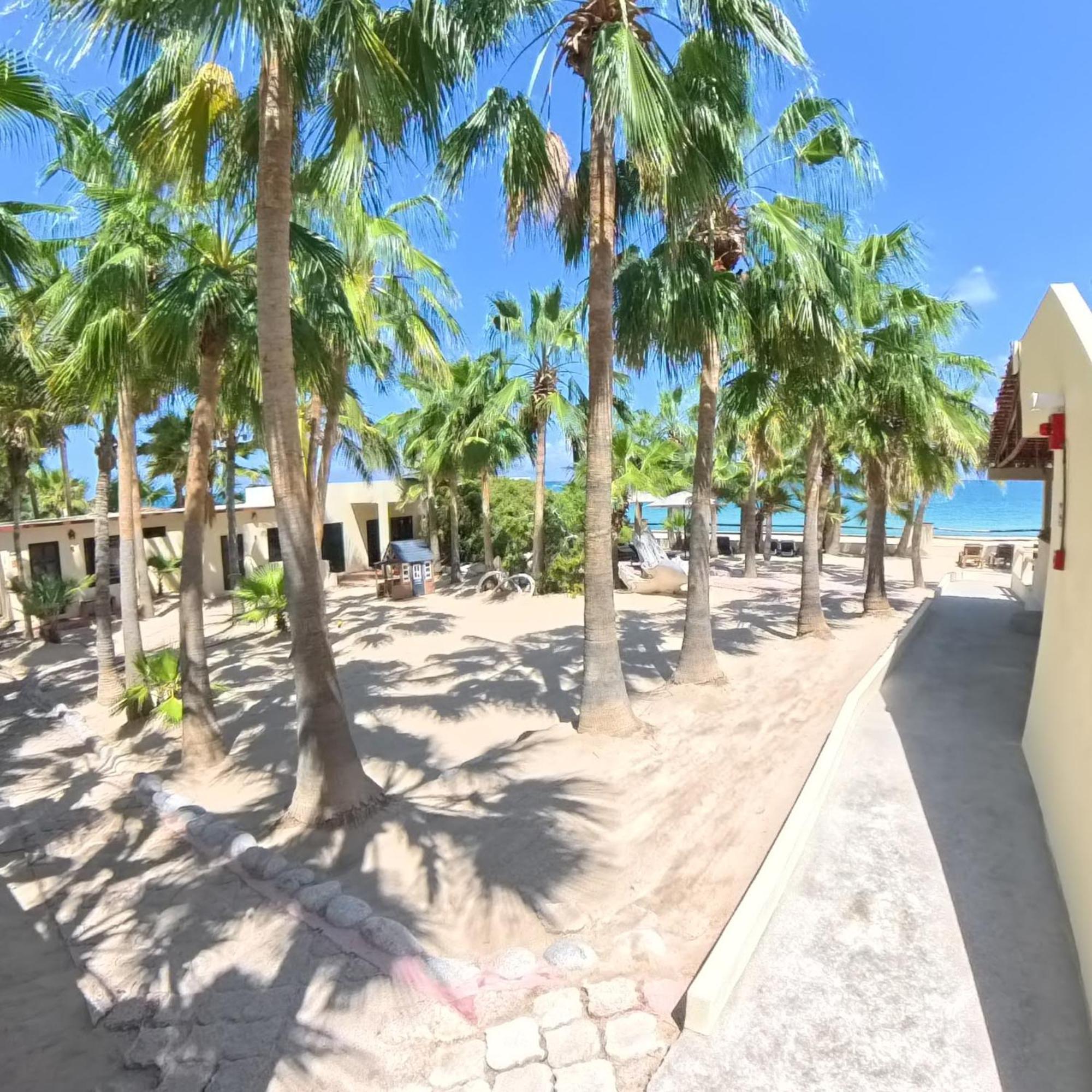 Resort Baja Joe's