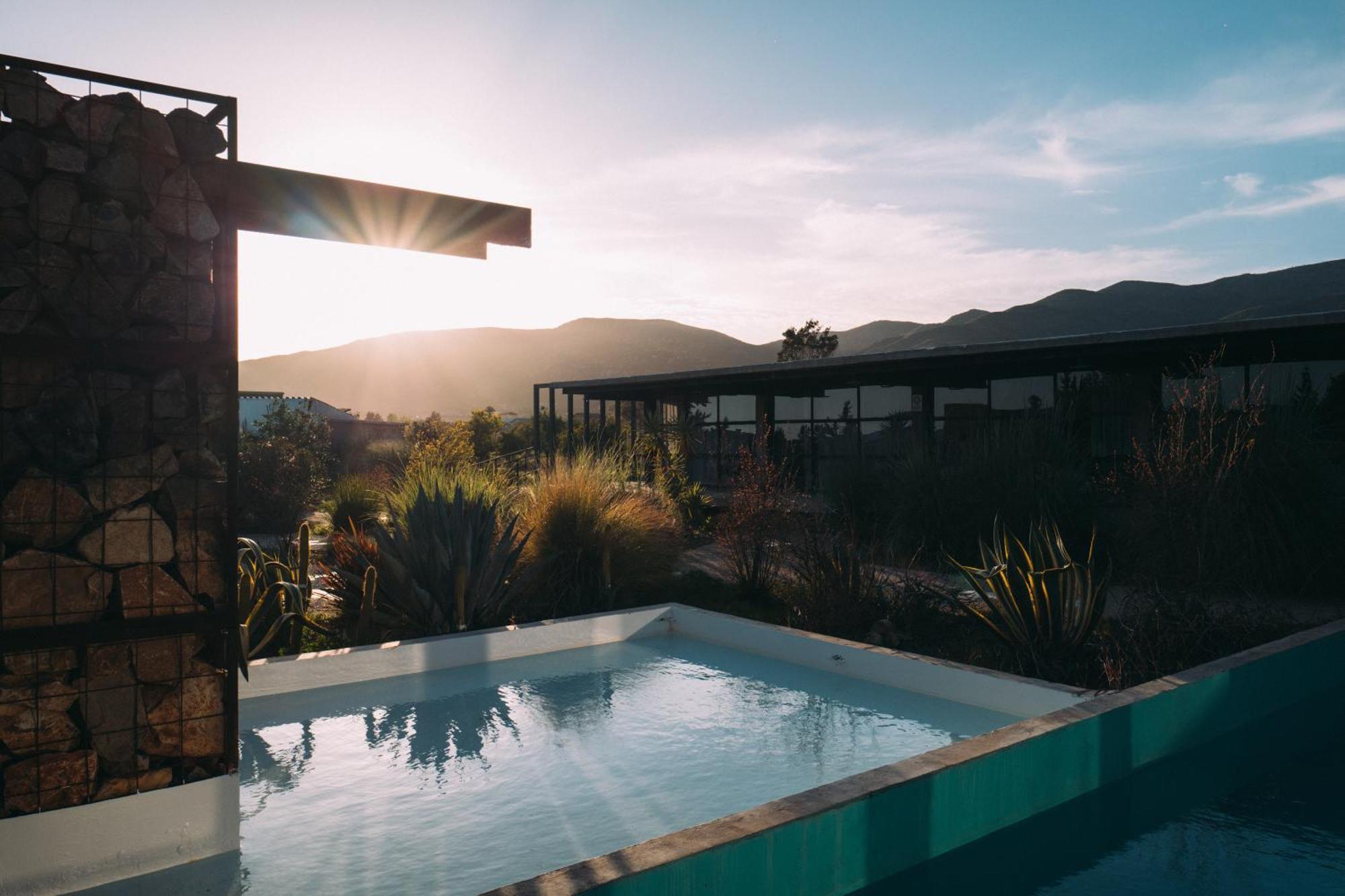 Amantes Valle de Guadalupe