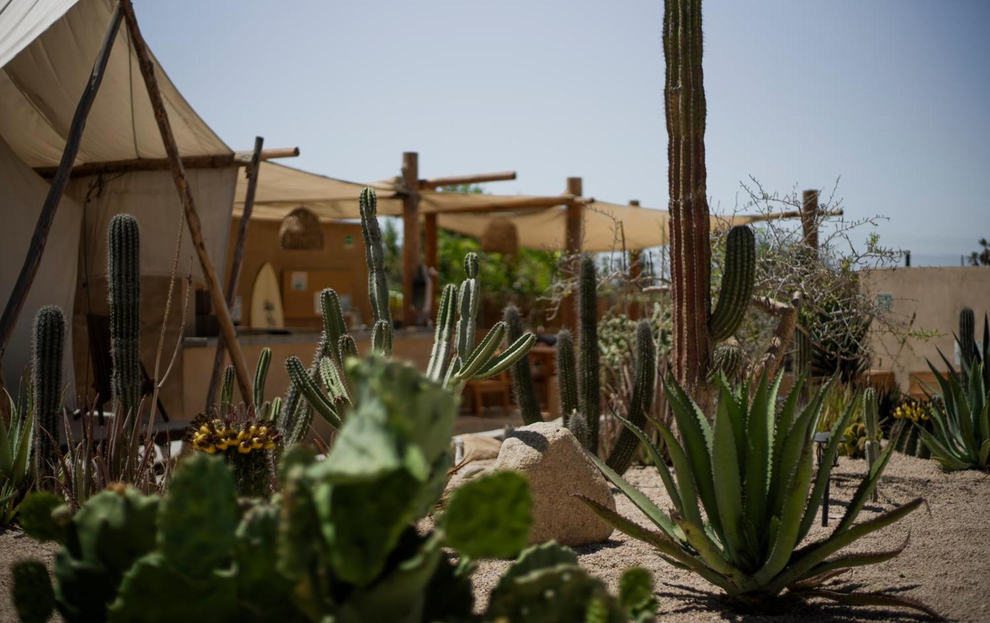 Baja Temple Hotel *