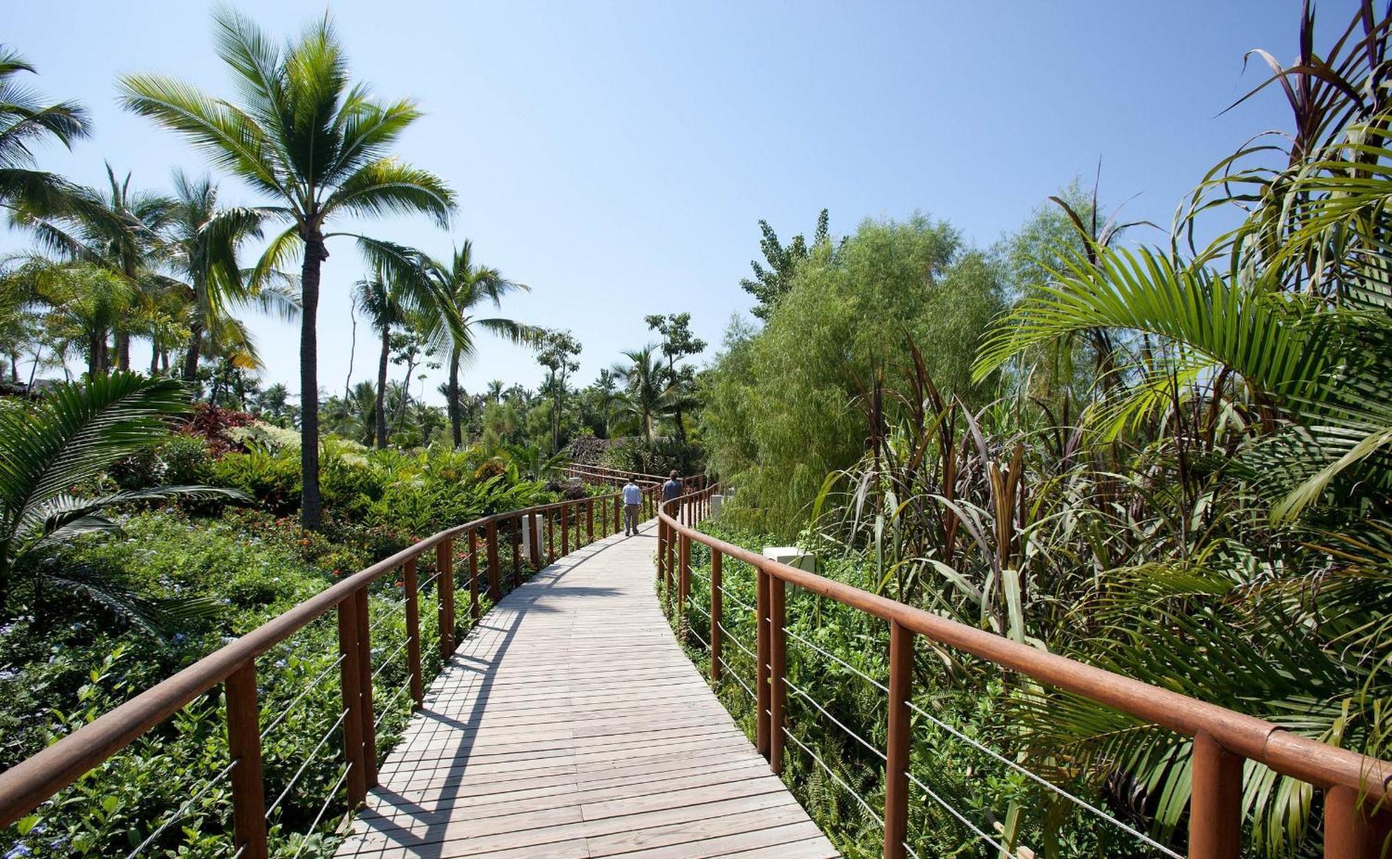 Grand Luxxe At Vidanta