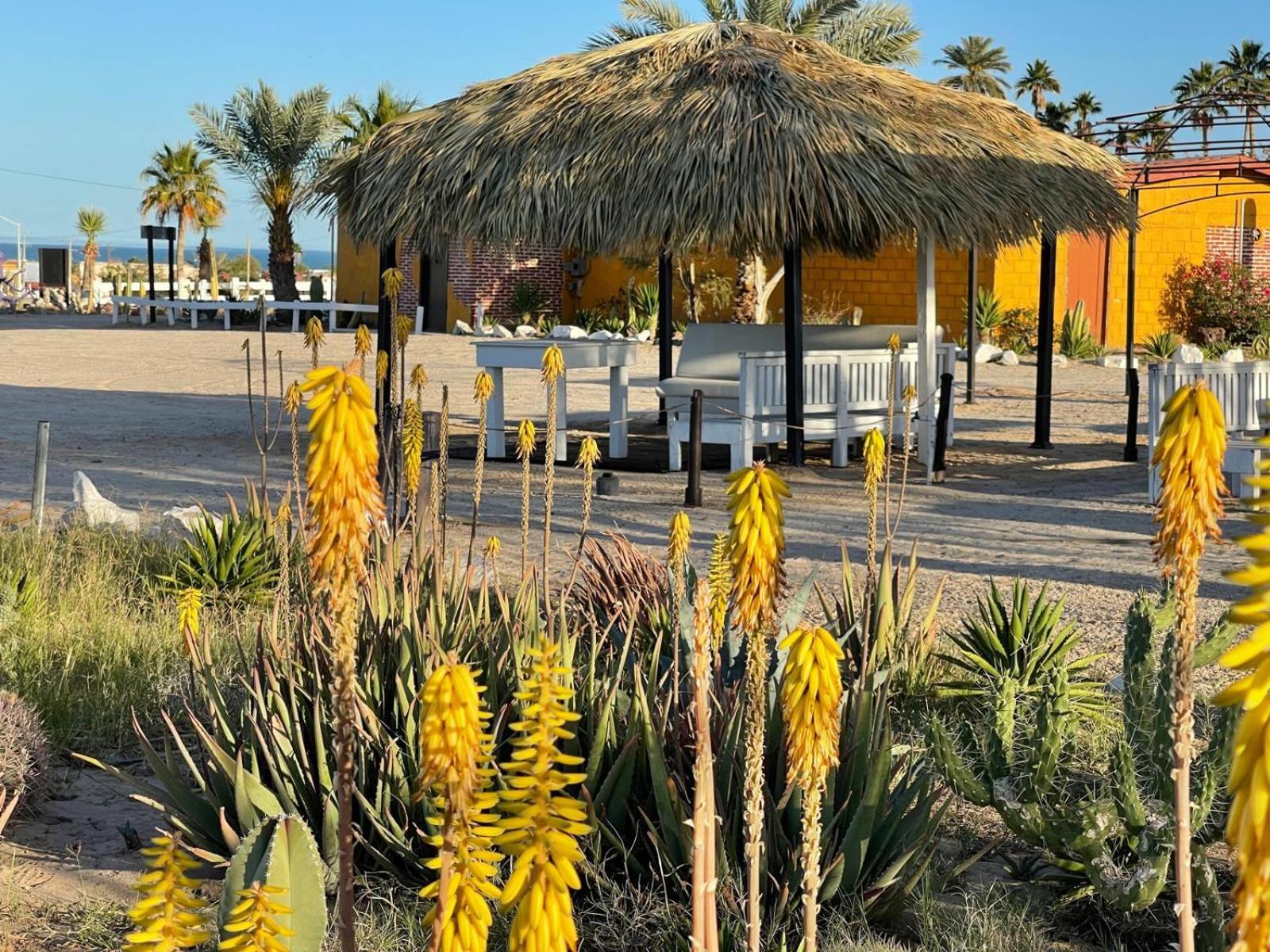 Palmas 3* San Felipe (Baja California)
