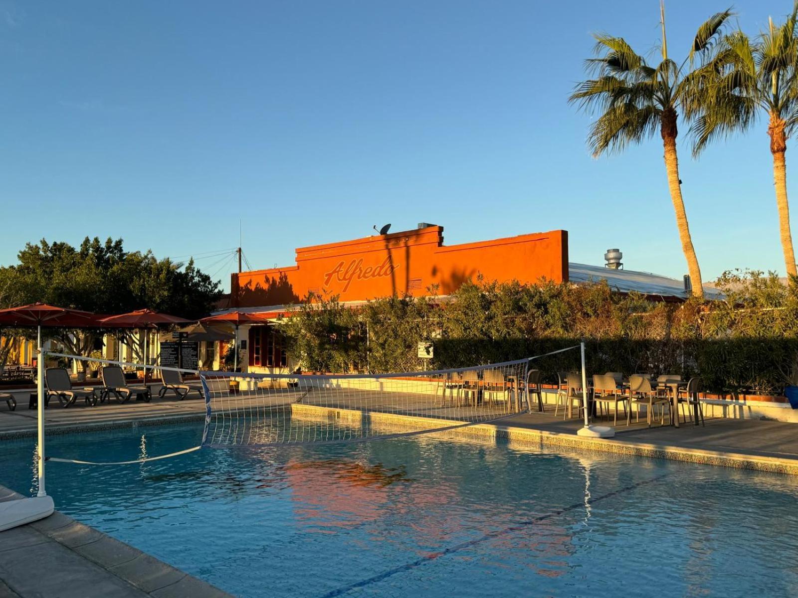 Palmas