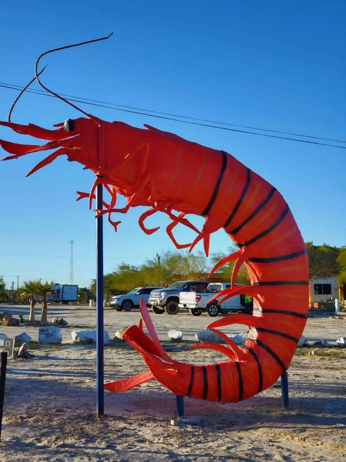 Palmas 3* San Felipe (Baja California)