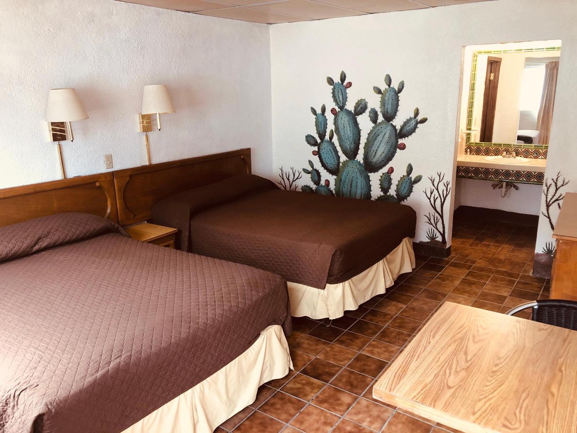 Palmas San Felipe (Baja California)