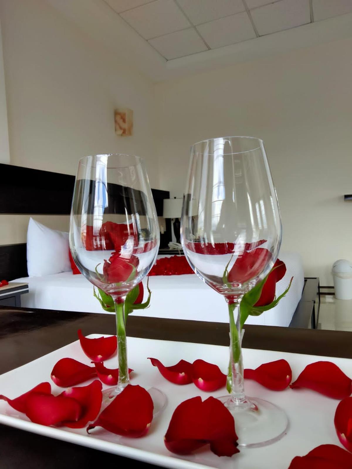 Margaritas Caxa Hotel Xalapa