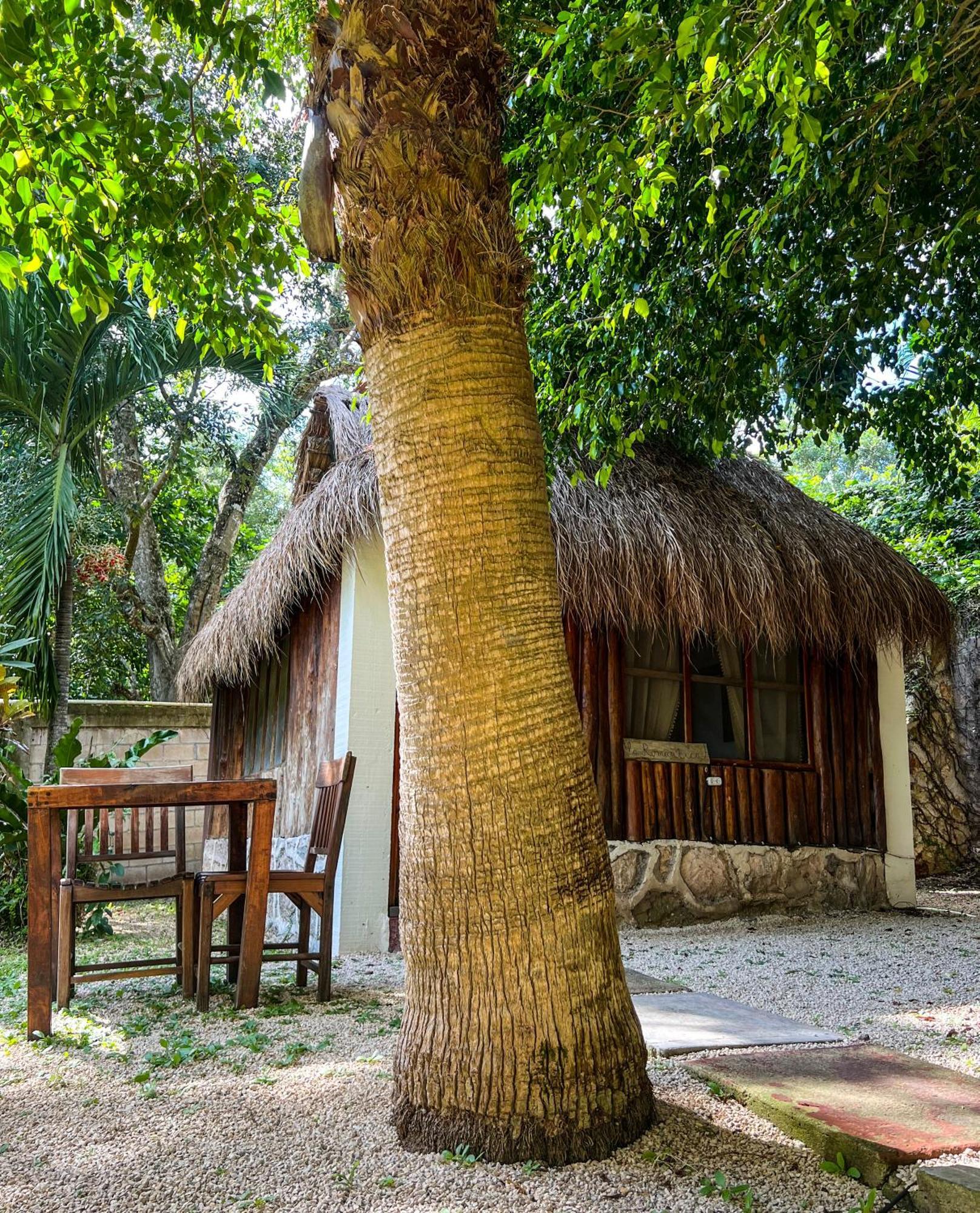 Hotel Santuario Front Oasis *