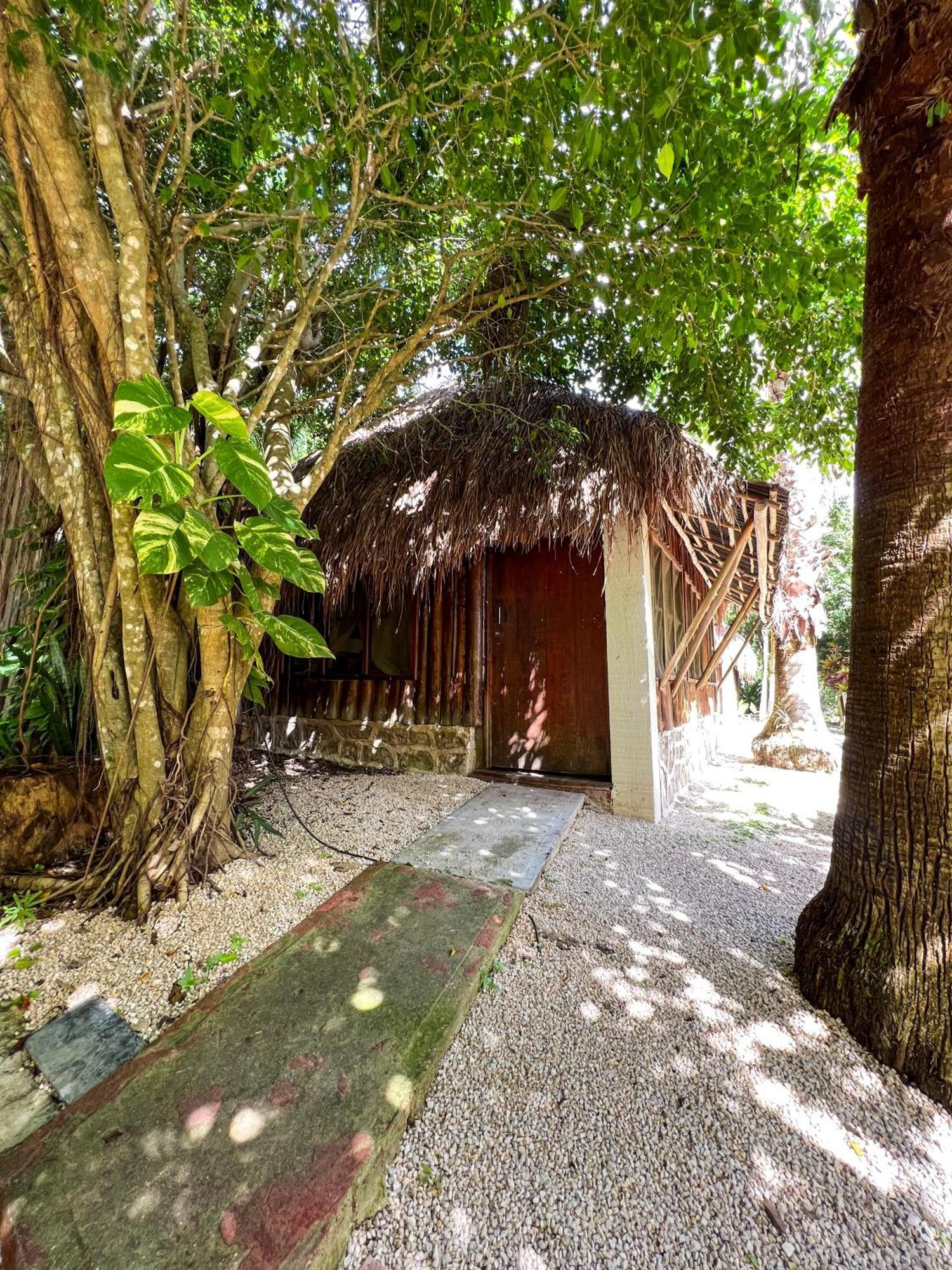 Santuario Front Oasis *