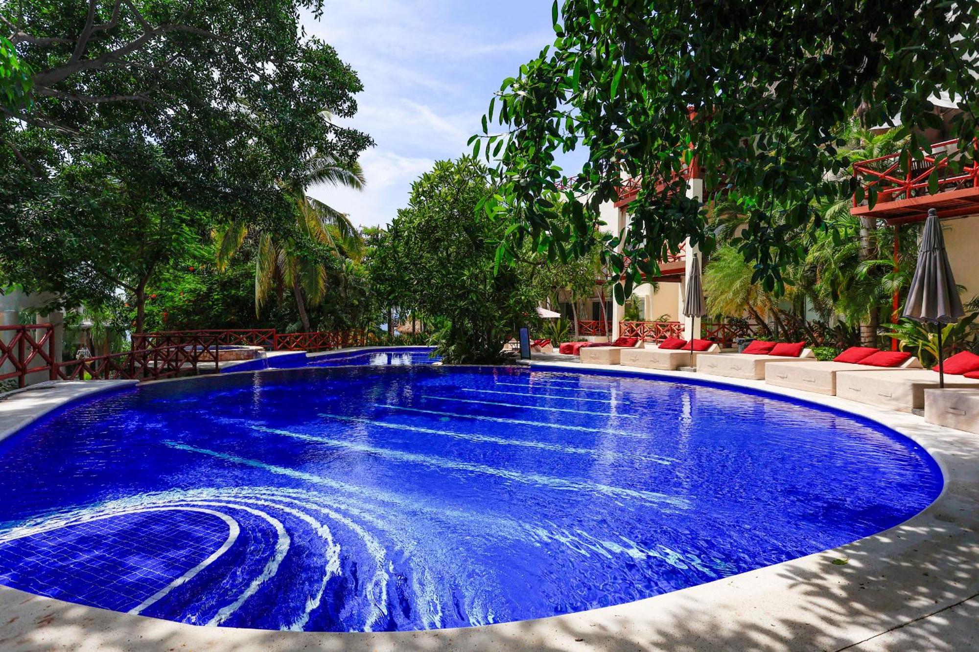 Aparthotel Dreamhaus Pajaro De Fuego *