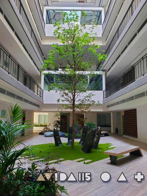 Apartment Avida