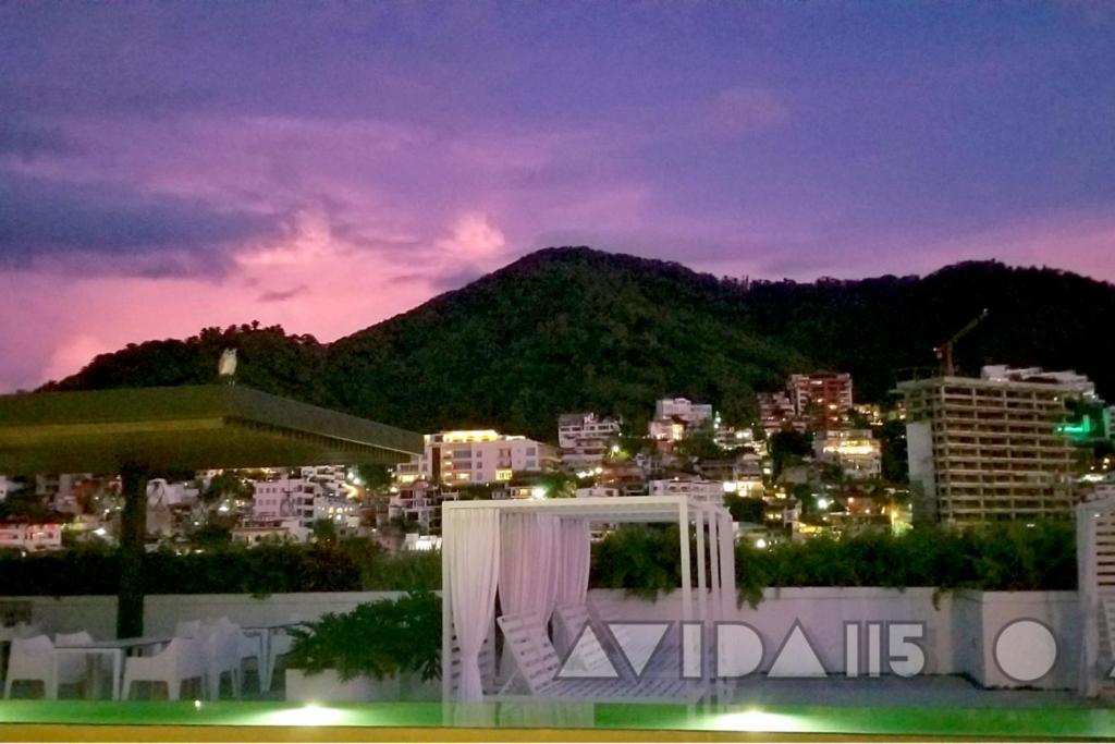 Avida