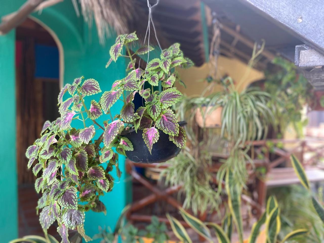 Artesanal * San Francisco (Nayarit)