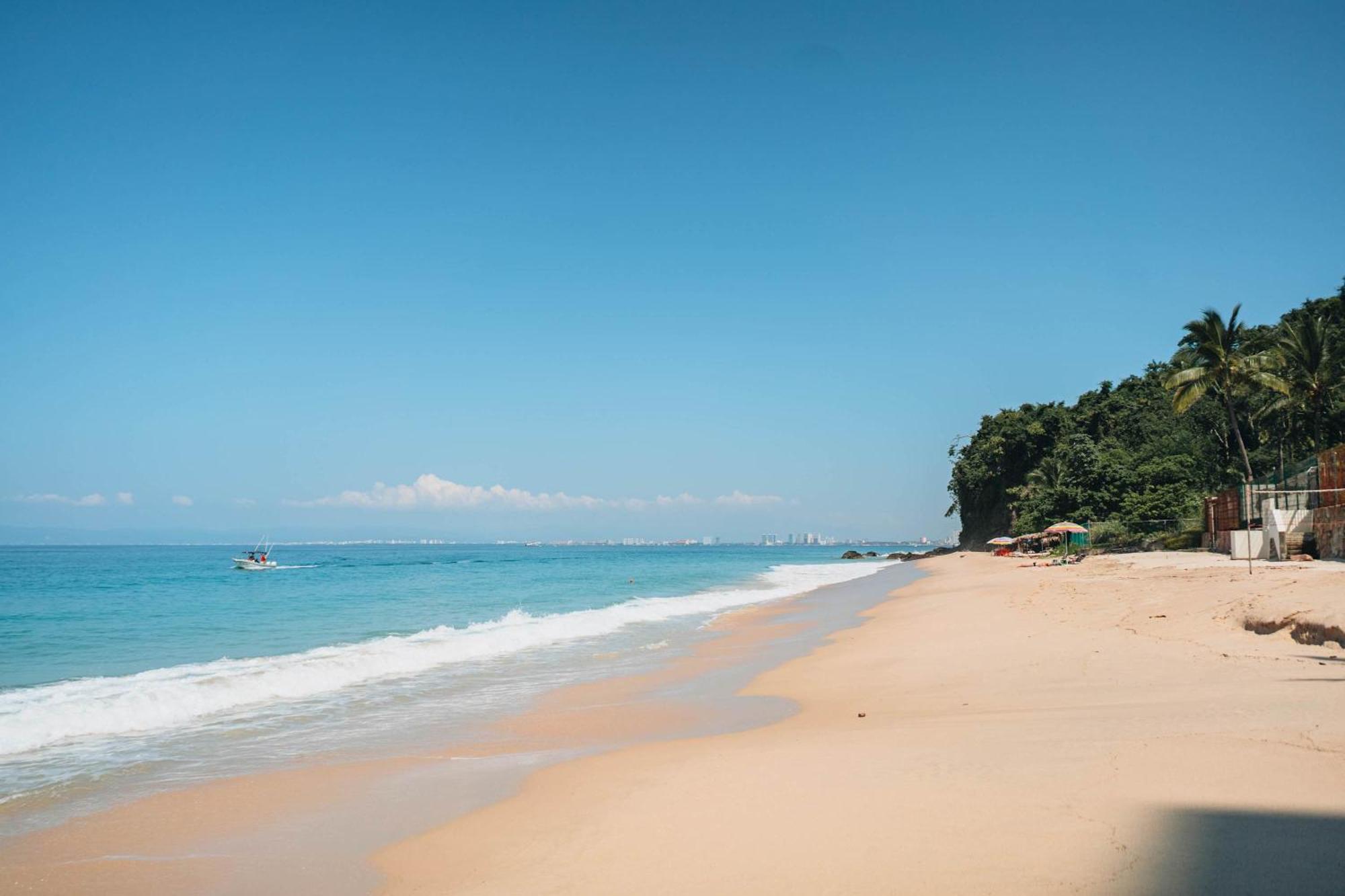 Full Floor Beachfront Luxury Apartment