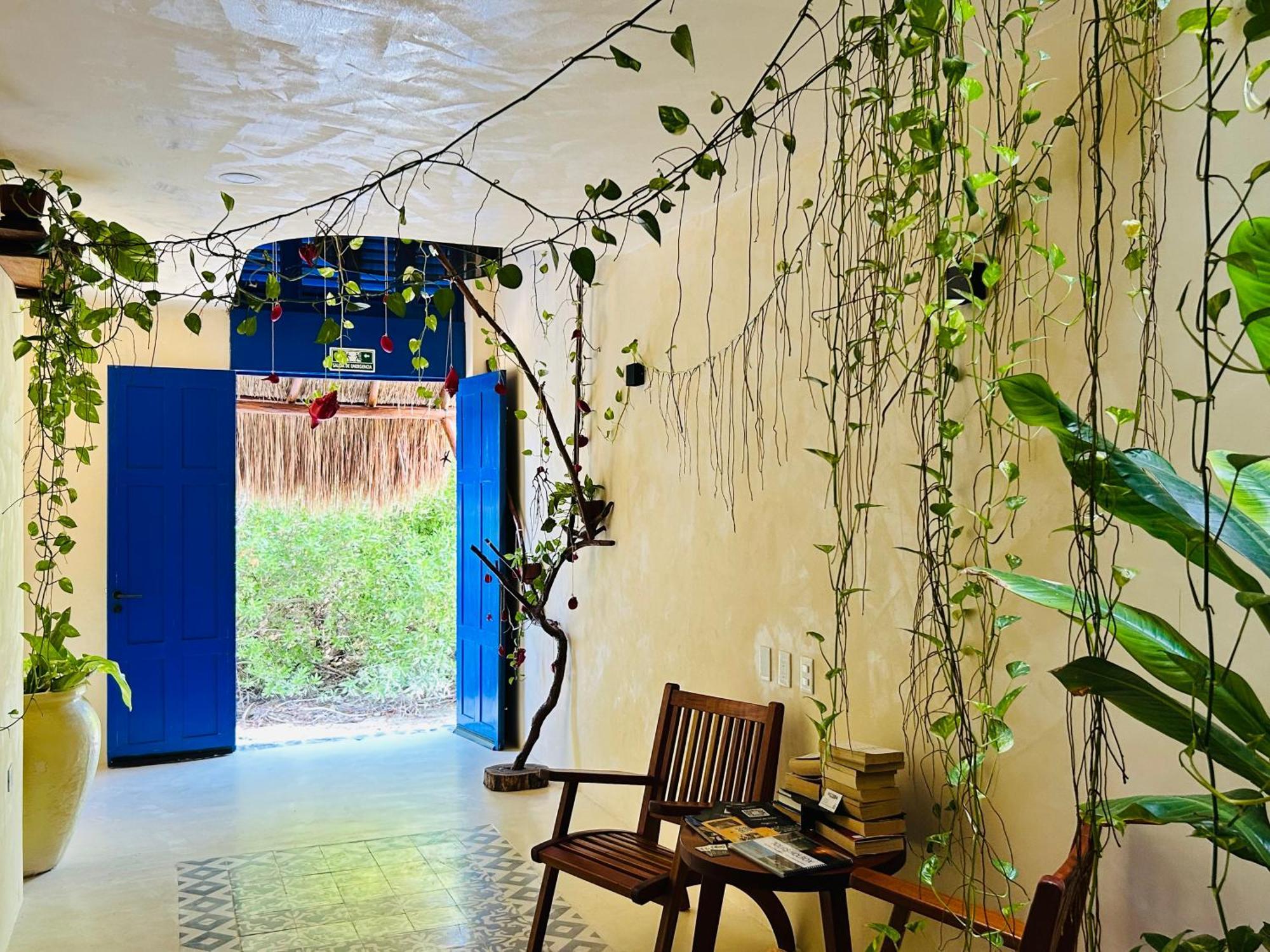 Apartment Sunsteps Casa *
