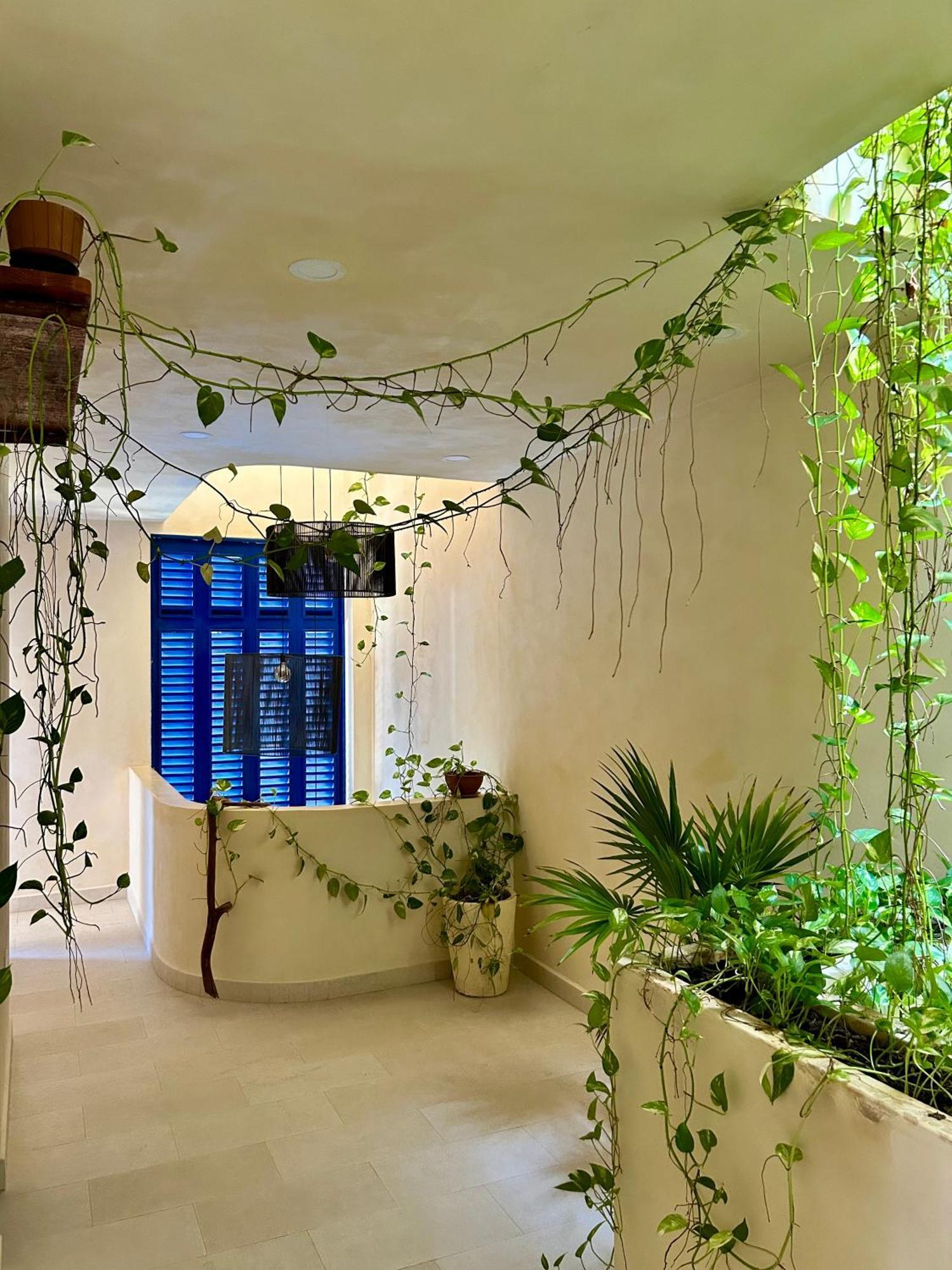 Apartment Sunsteps Casa Isla Holbox