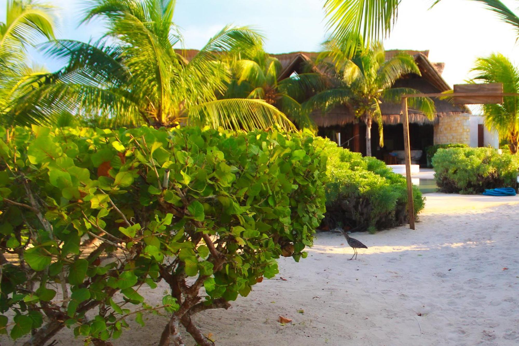 Lipsos Private Luxury Beachfront Holiday home