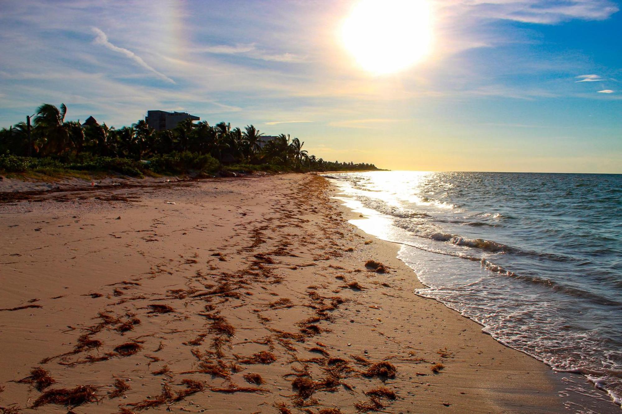 Lipsos Private Luxury Beachfront Holiday home Progreso (Yucatan)