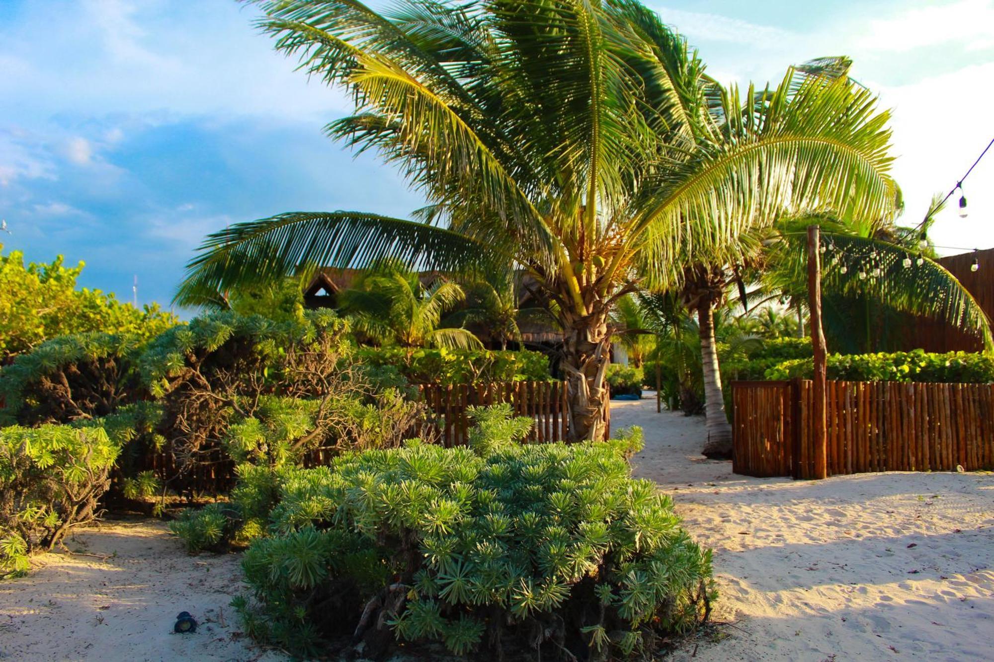 Lipsos Private Luxury Beachfront Holiday home Progreso (Yucatan)