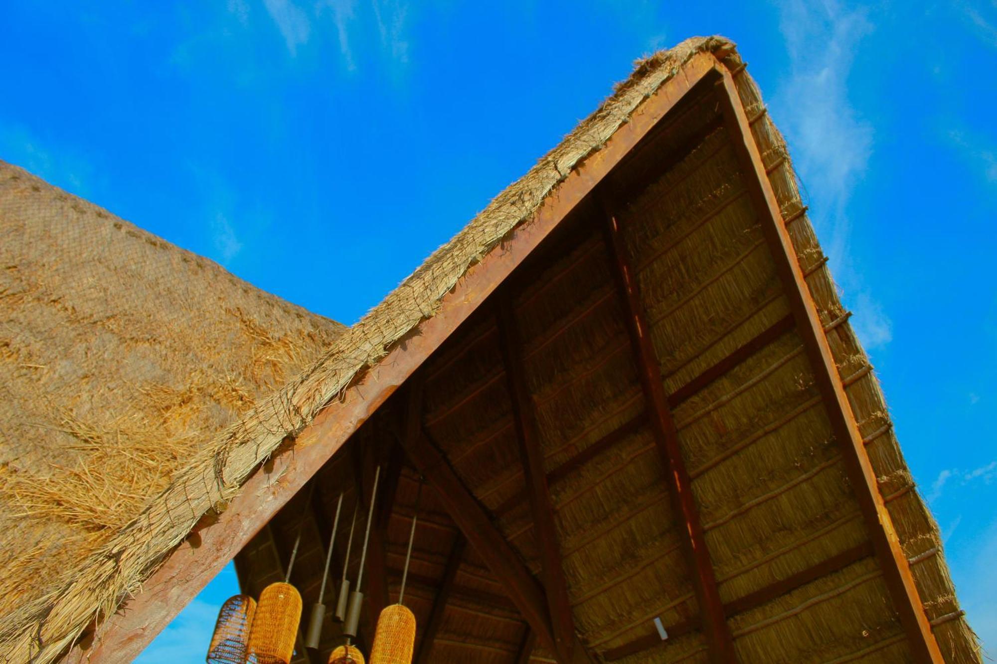 Lipsos Private Luxury Beachfront Progreso (Yucatan)