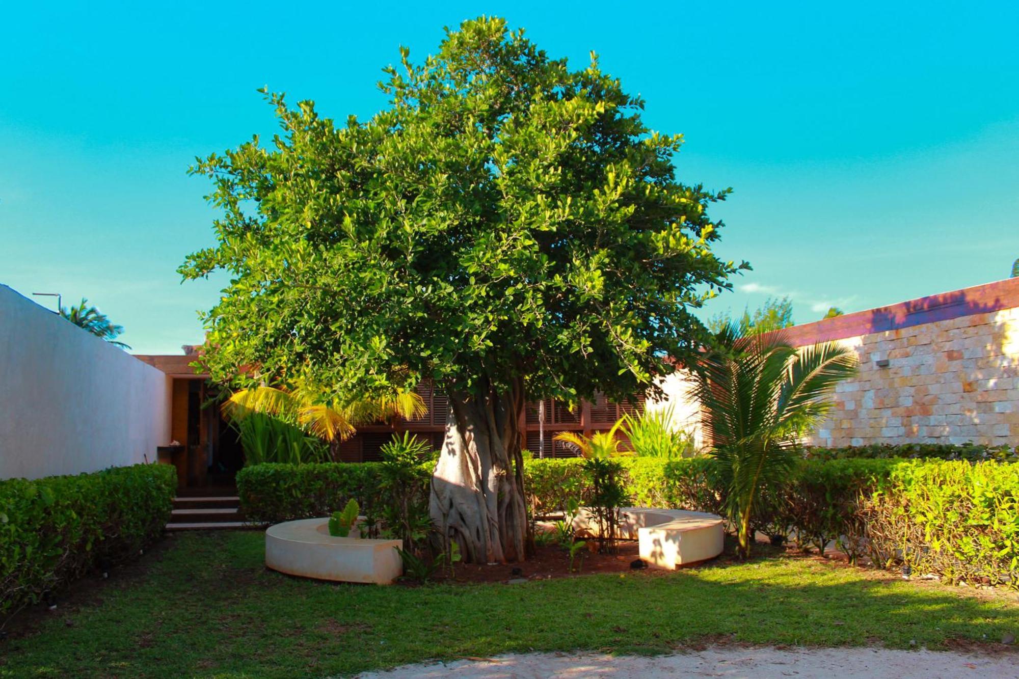 Lipsos Private Luxury Beachfront *