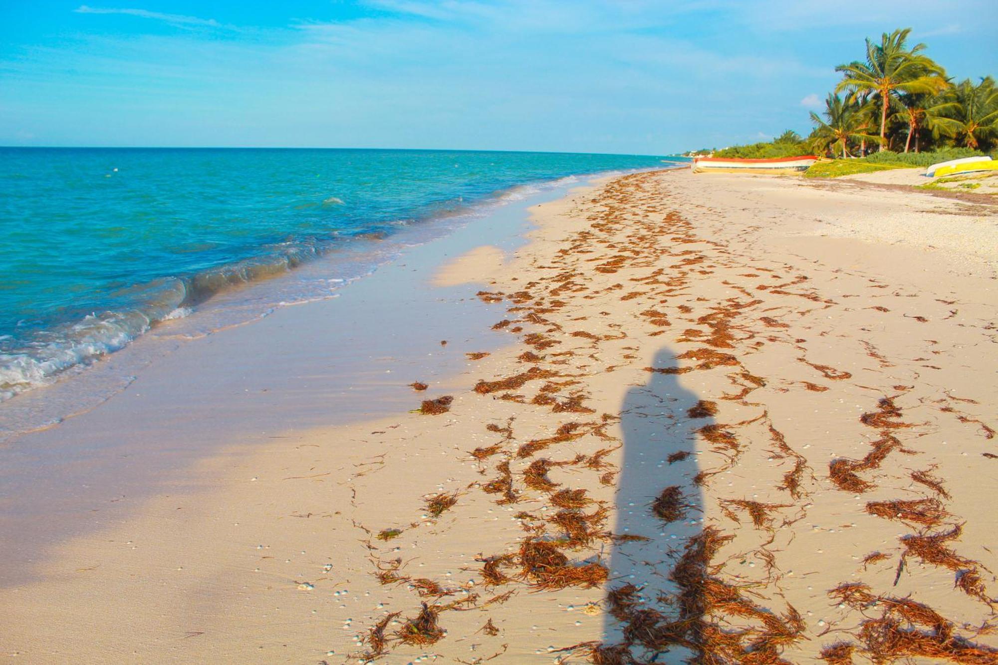 Lipsos Private Luxury Beachfront Progreso (Yucatan)