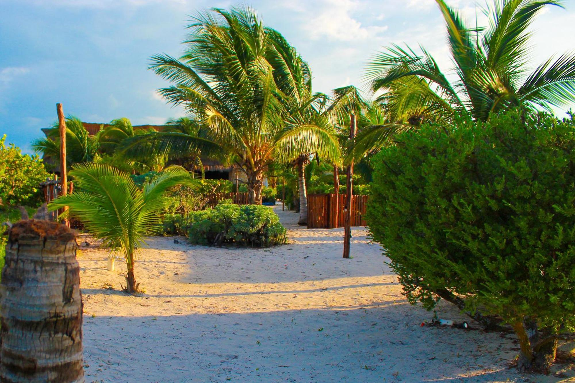 Lipsos Private Luxury Beachfront Progreso (Yucatan)