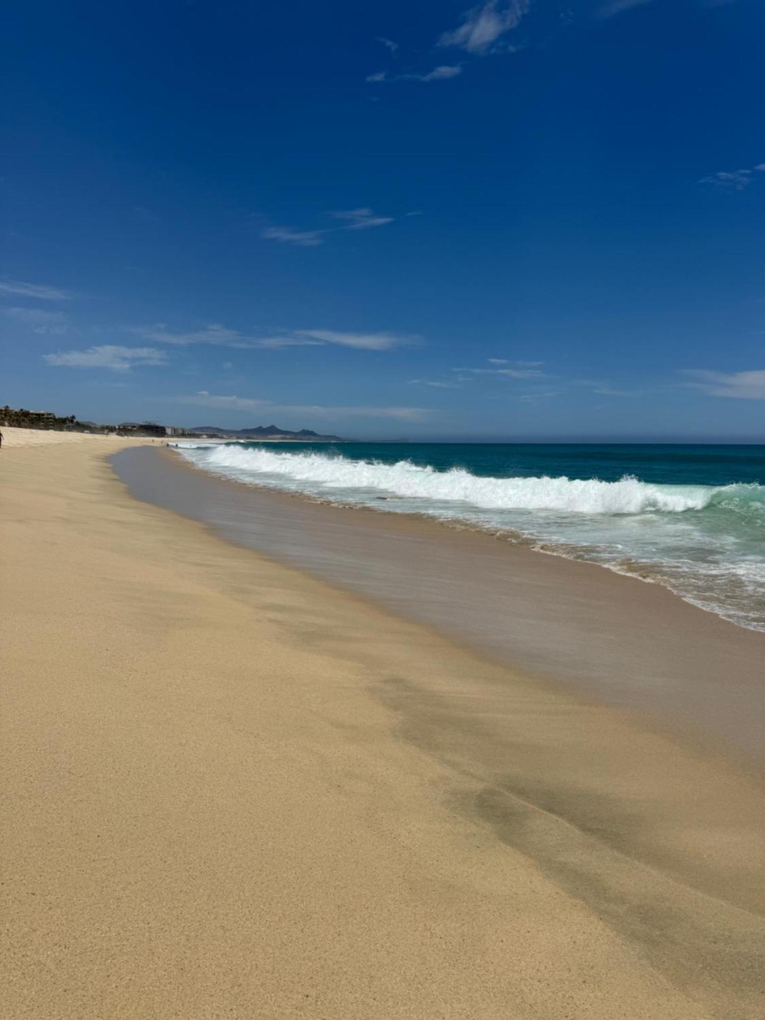 Front Beautiful One Bedroom * San Jose del Cabo