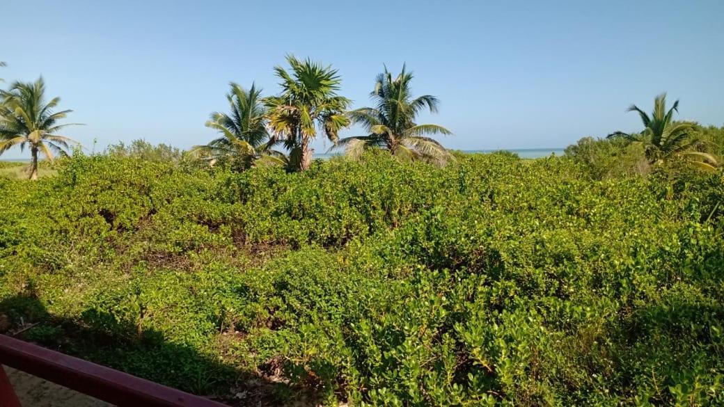 Cabanas El Cuyo El Cuyo