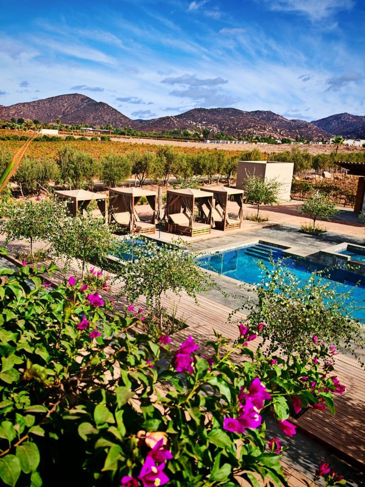 Flores De Sal-valle De Guadalupe Hotel 4*
