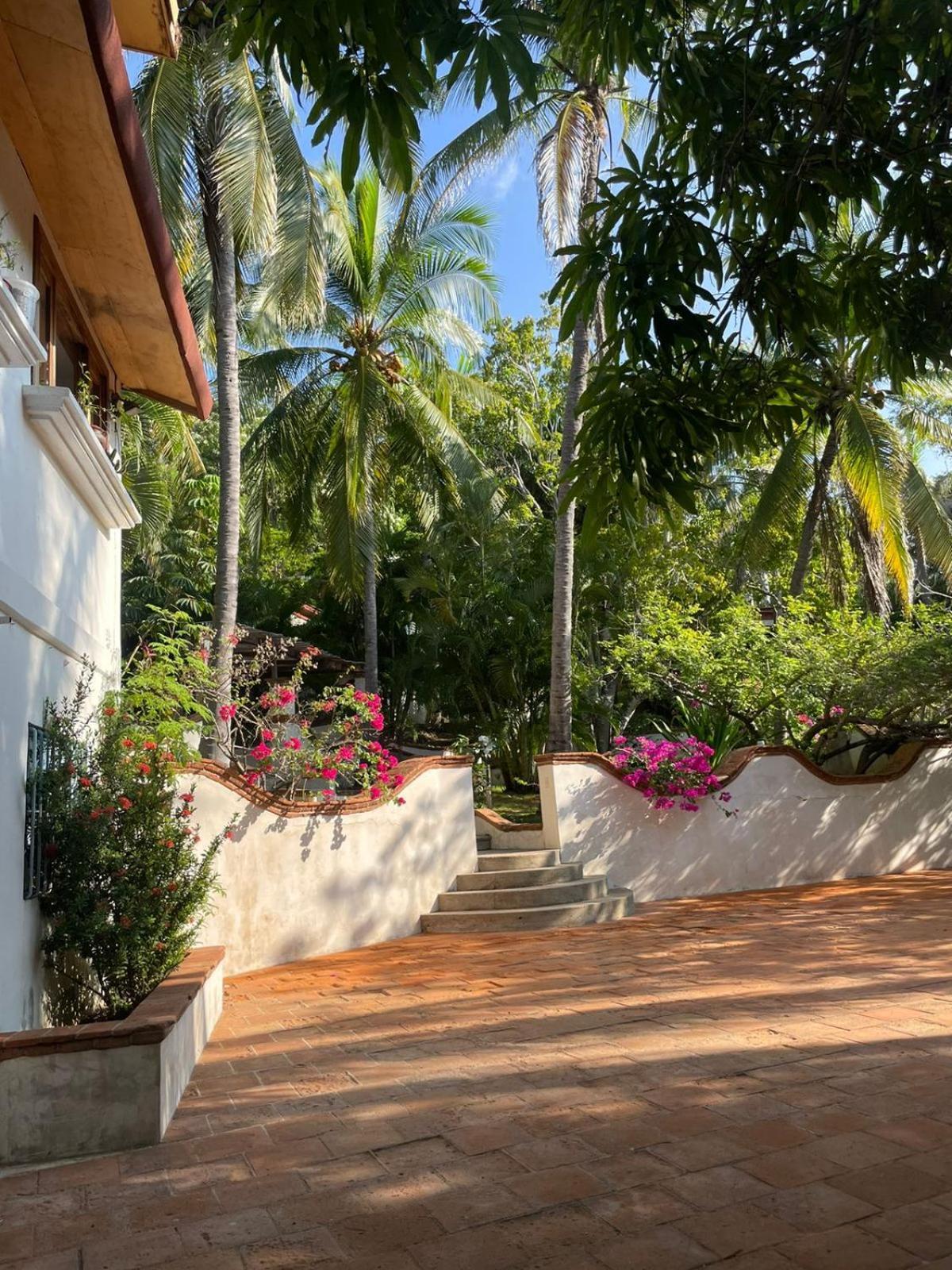 Hotel Casa Flor De Mar 3*