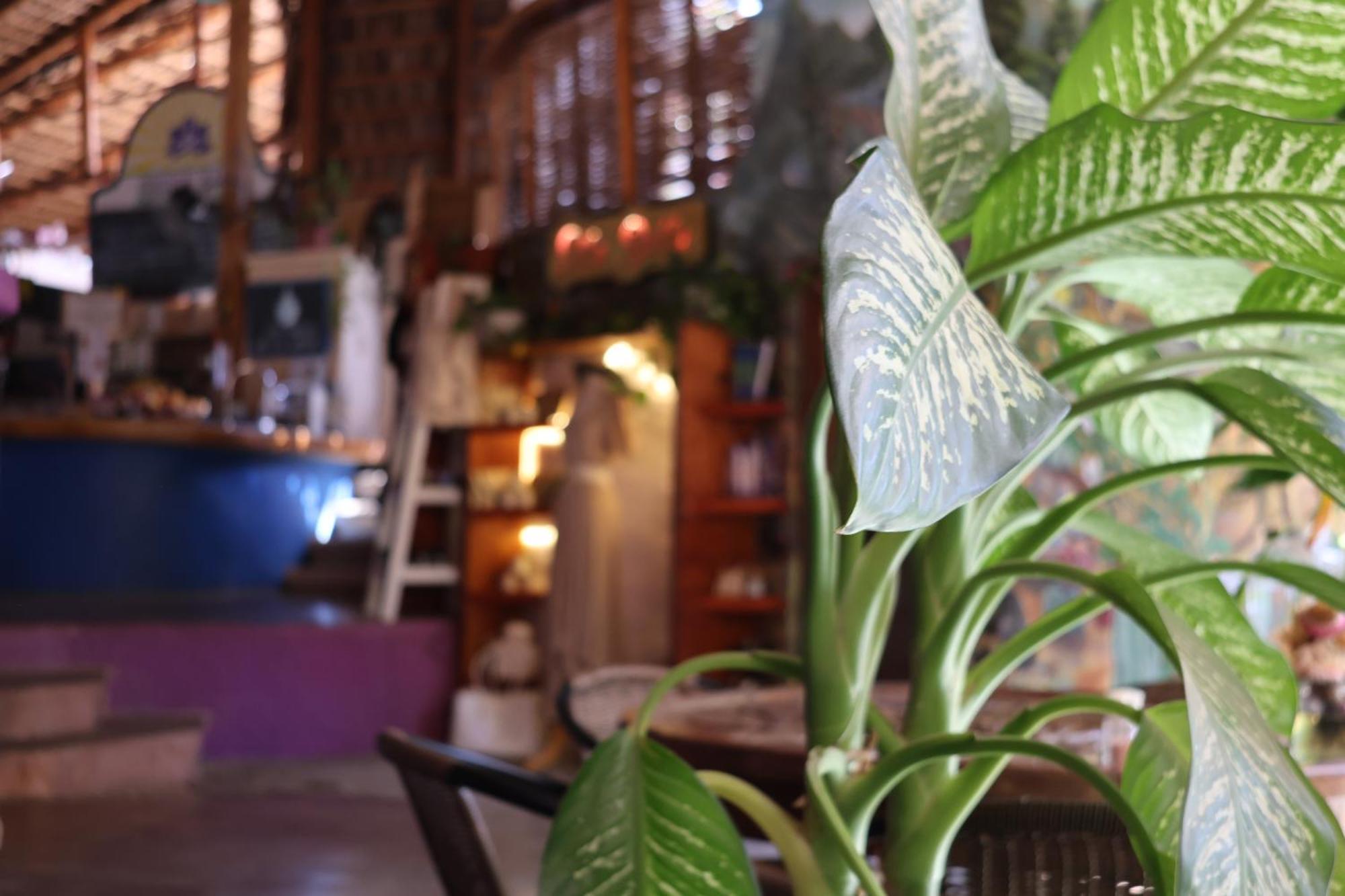 Del Molino Hotel