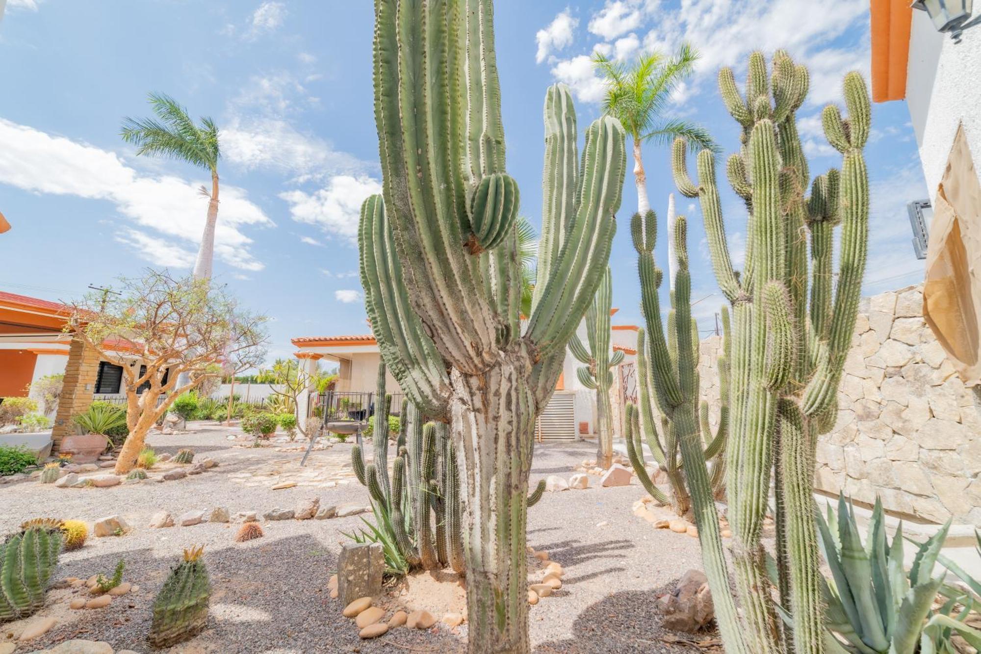 Go Baja Villas 2 Bedroom Villa La Paz