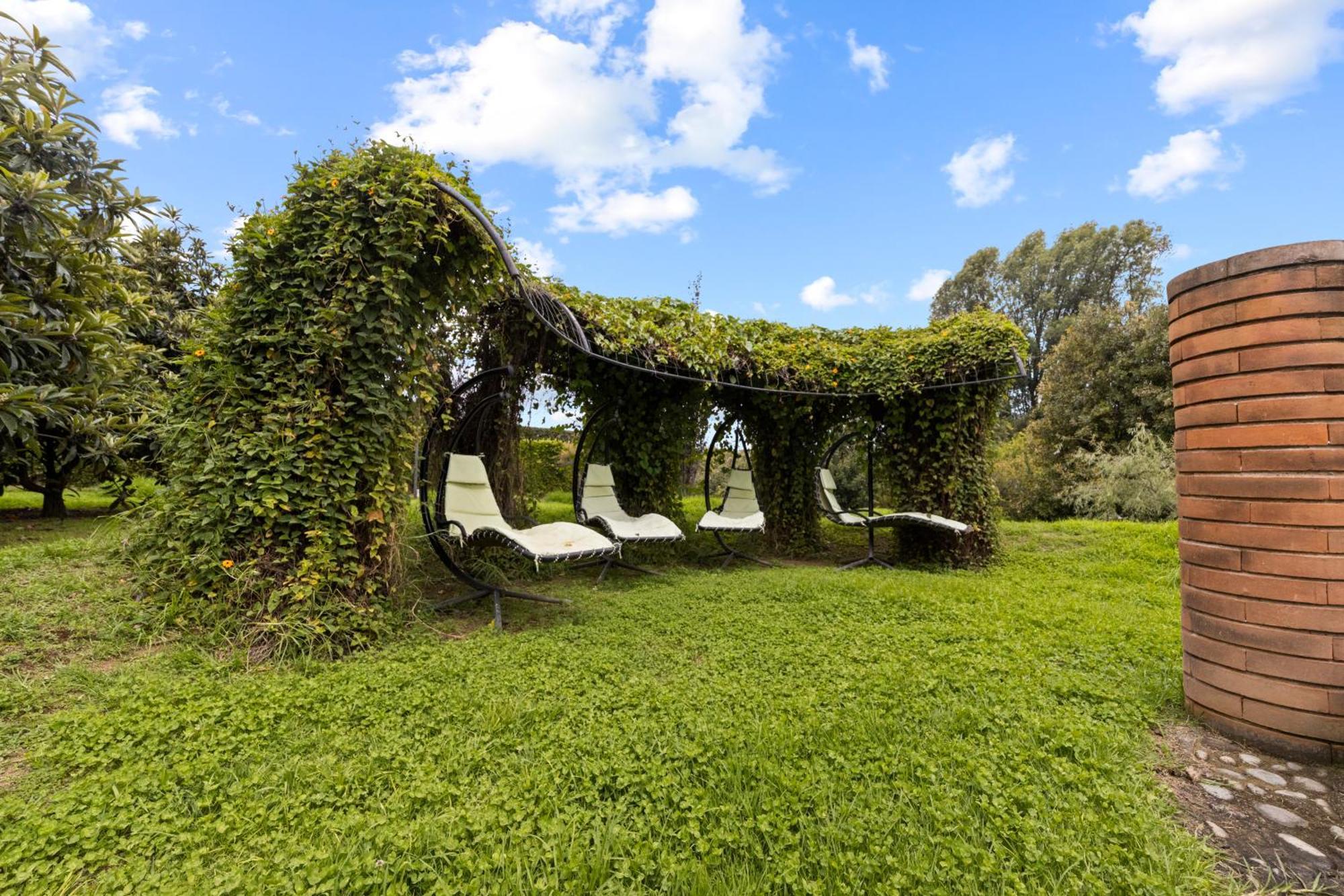 Eucaliptos Medicinal Lodge Zitacuaro