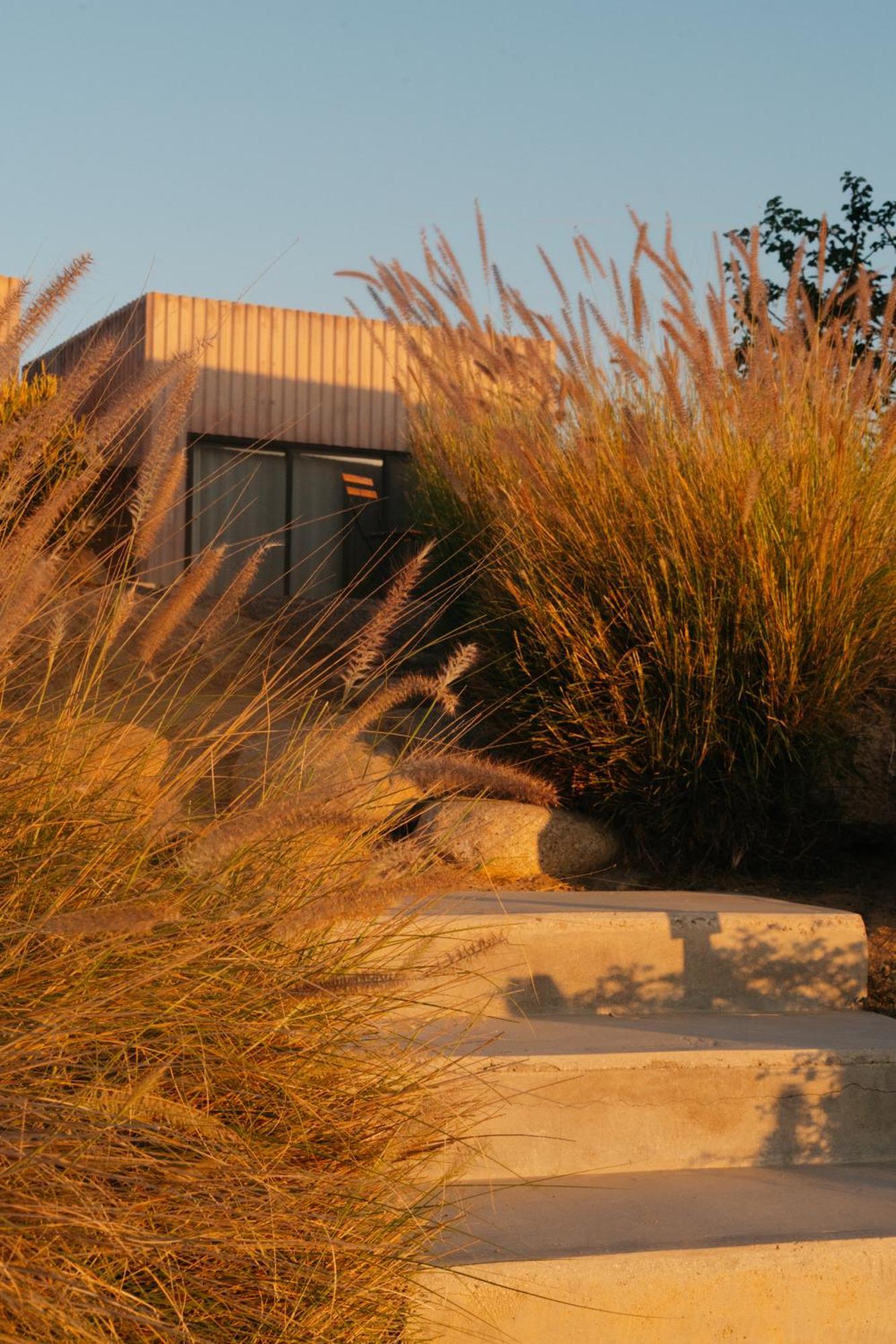 Hotel Casa Santos Todos Santos