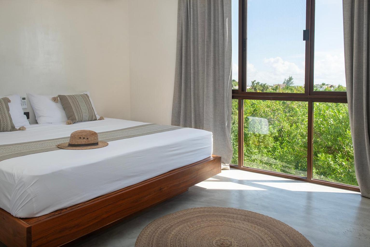 Coccoloba Isla Holbox