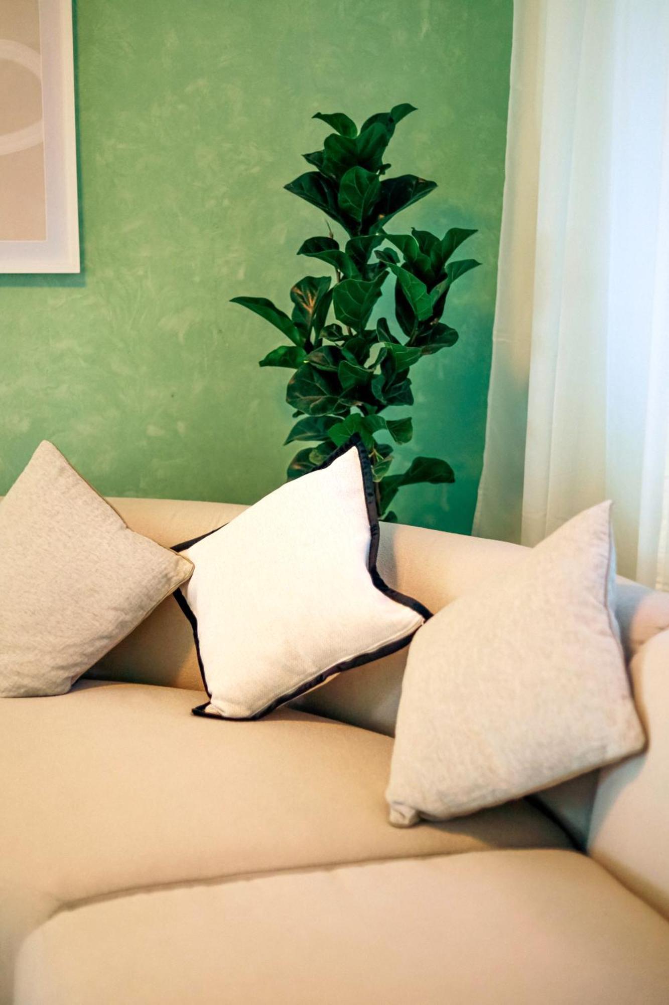 Villa Beautiful 6 Bdr With Ac In La Condesa