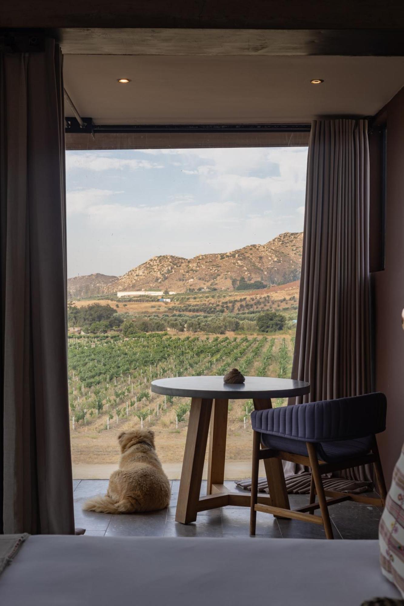 Bruma Wine Hotel Valle de Guadalupe