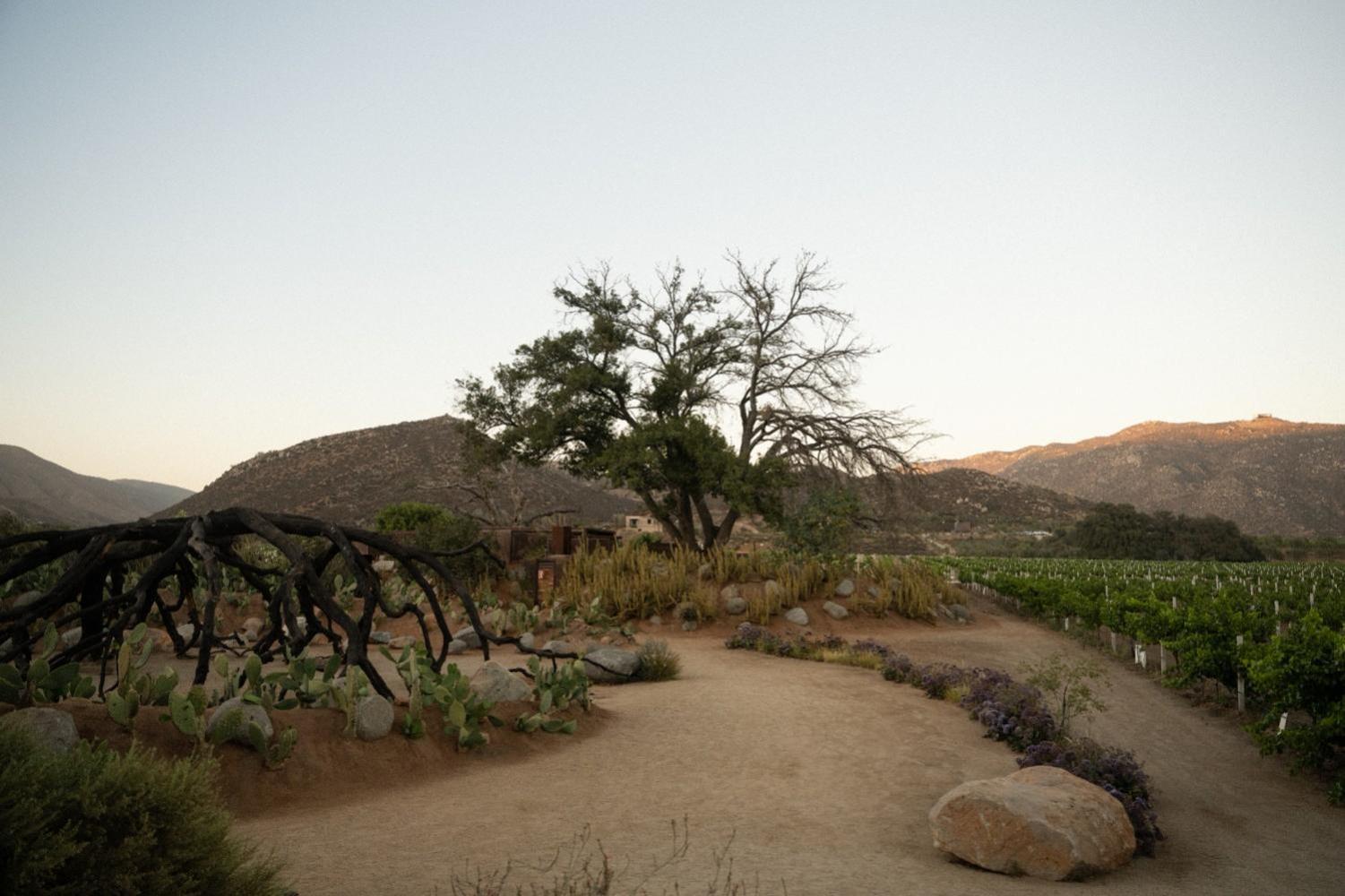 Hotel Bruma Wine Valle de Guadalupe