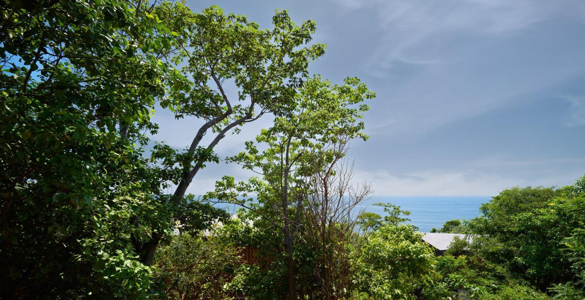 Cocolia Hotel