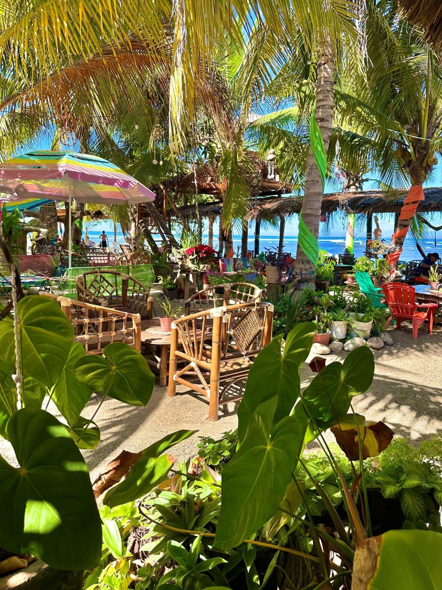 Resort Jovita Y Pancho Saladita *