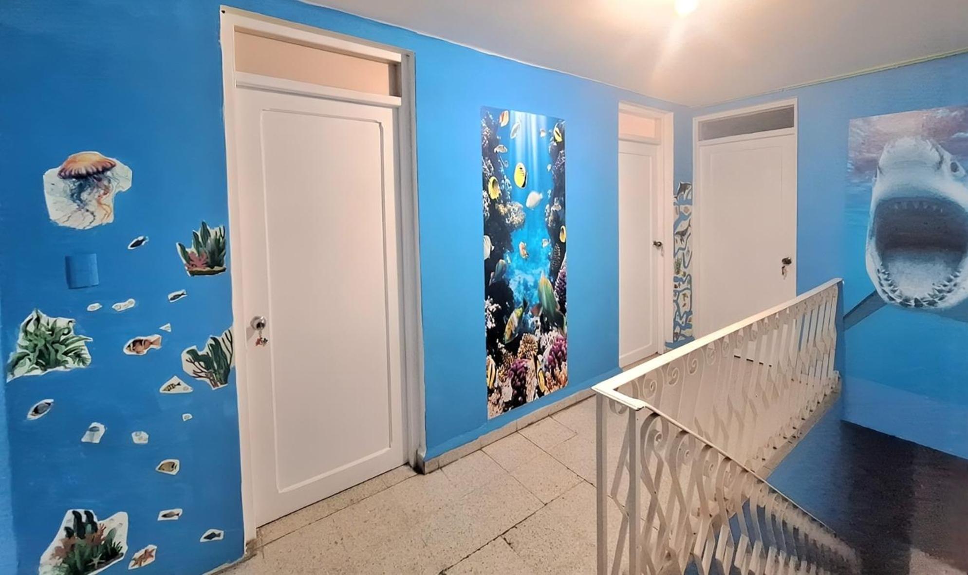 Recamaras Acuario Disponible Planta Alta Reserva Unicamente Whats Number 228ll5476o - N0 Reservatl0ns Here