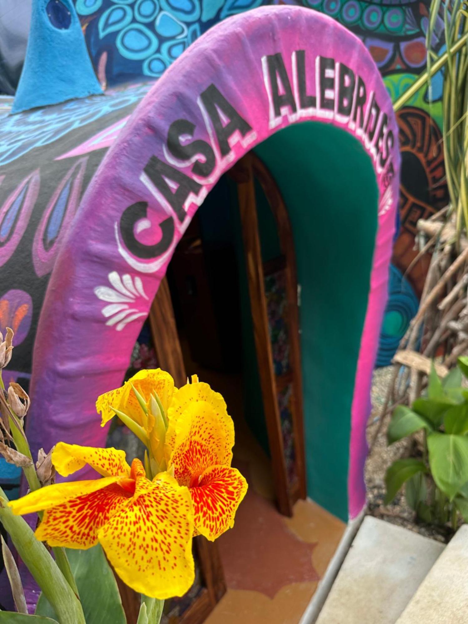 Hotel Beachfront Paradise Boutique - Casa Alebrijes Jacuzzi Suits