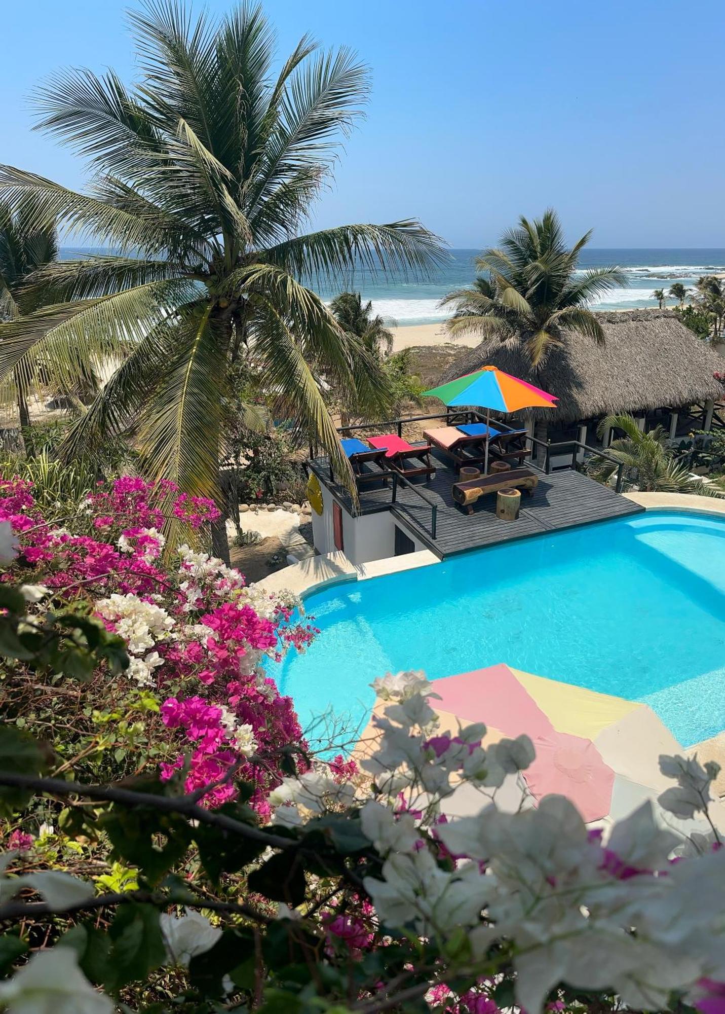 Beachfront Paradise Boutique - Casa Alebrijes Jacuzzi Agua Blanca