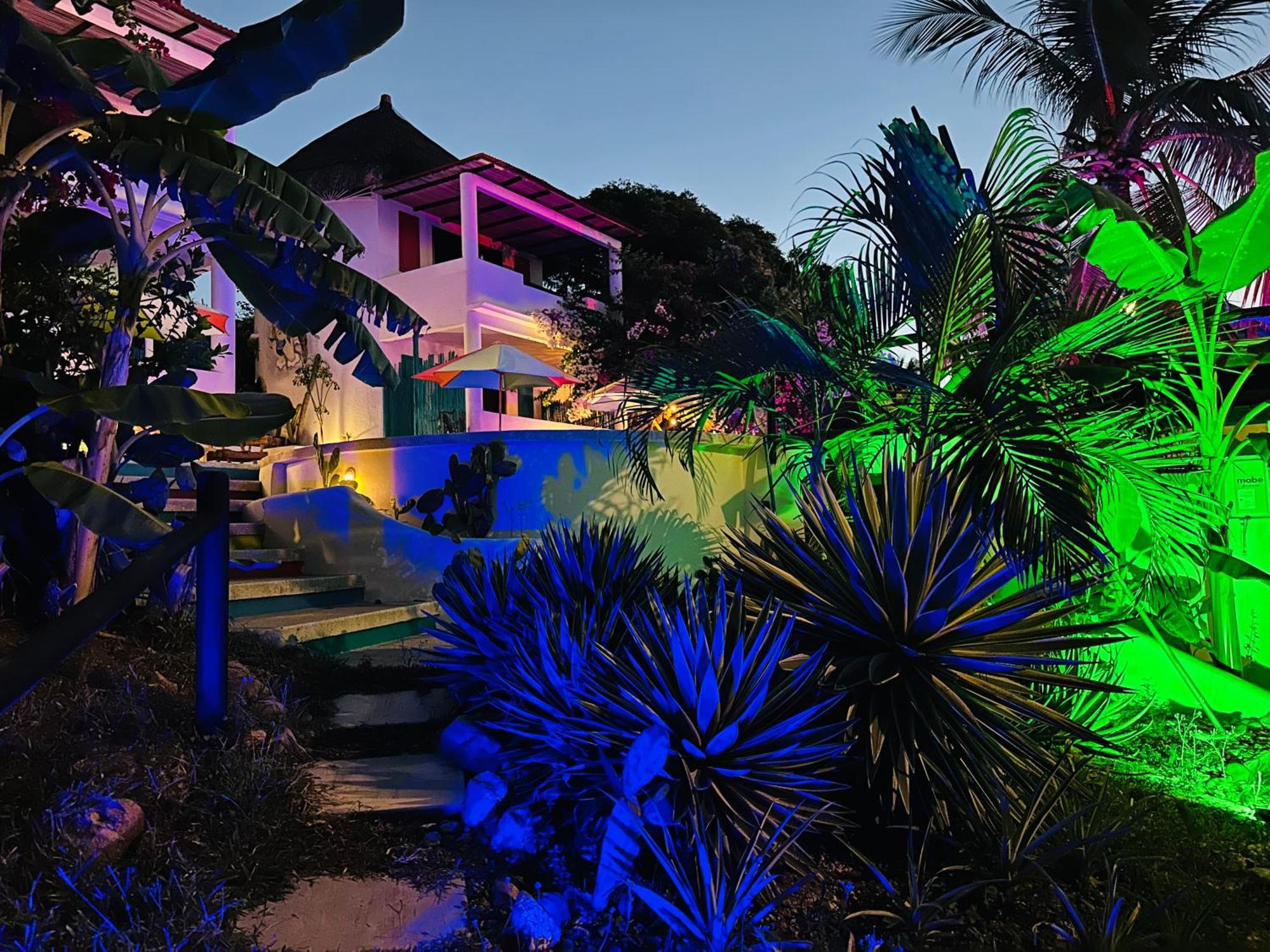 Beachfront Paradise Boutique - Casa Alebrijes Jacuzzi 4*