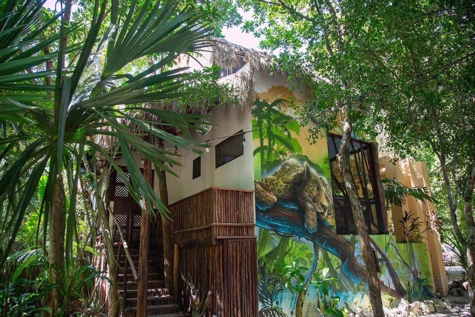 Ekumal Retreat Eco Sanctuary Akumal