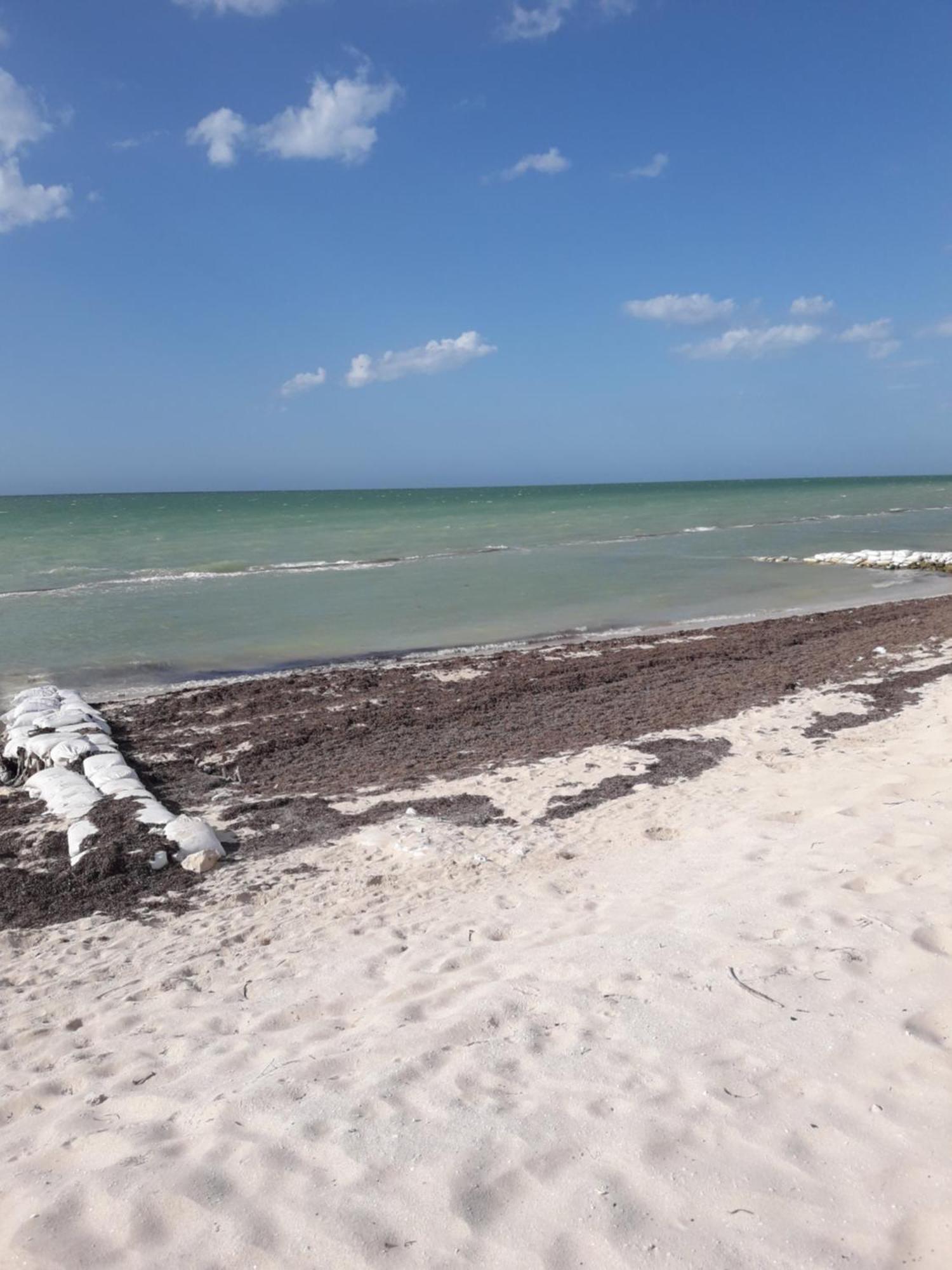 Casa Pepe Vacation Progreso Holiday home *