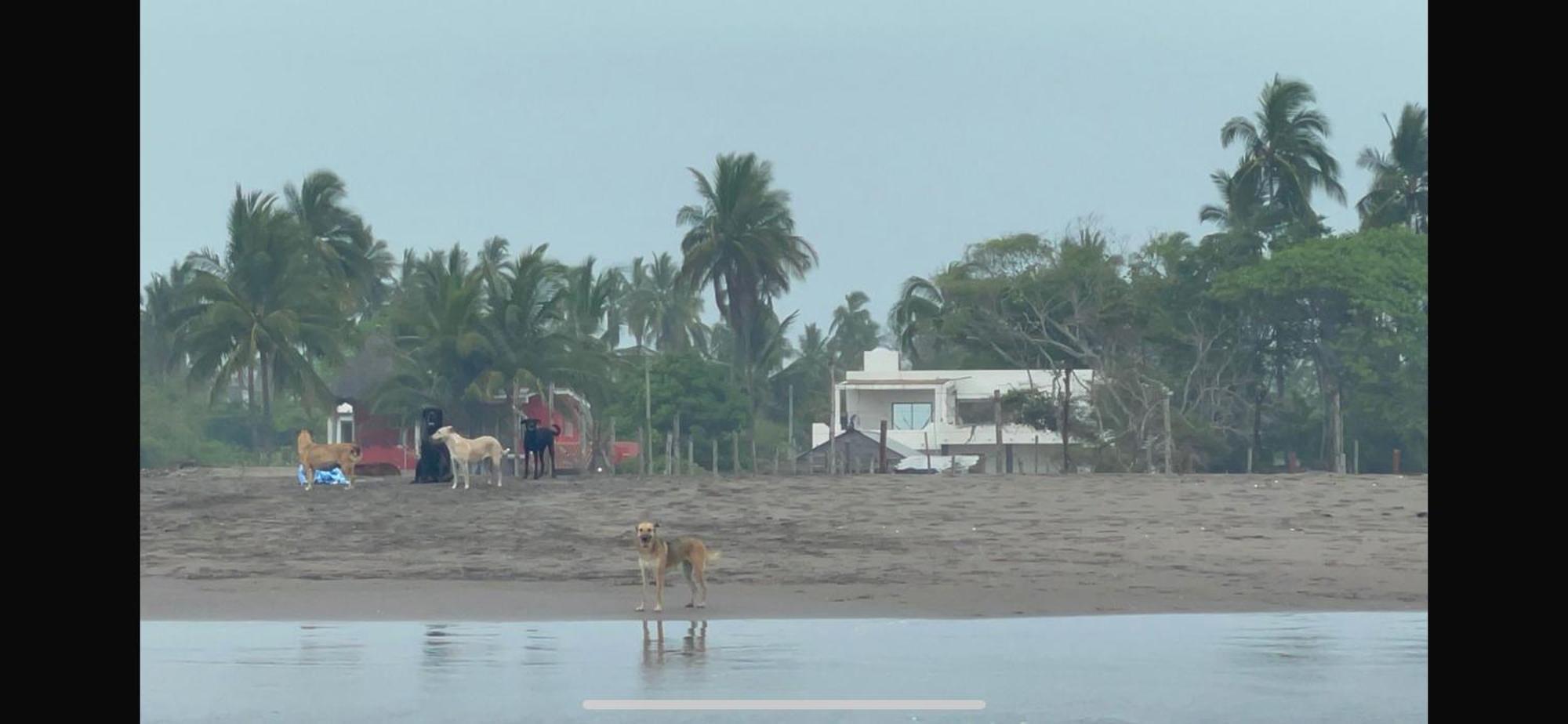 Casa Playa Hermosa * San Blas