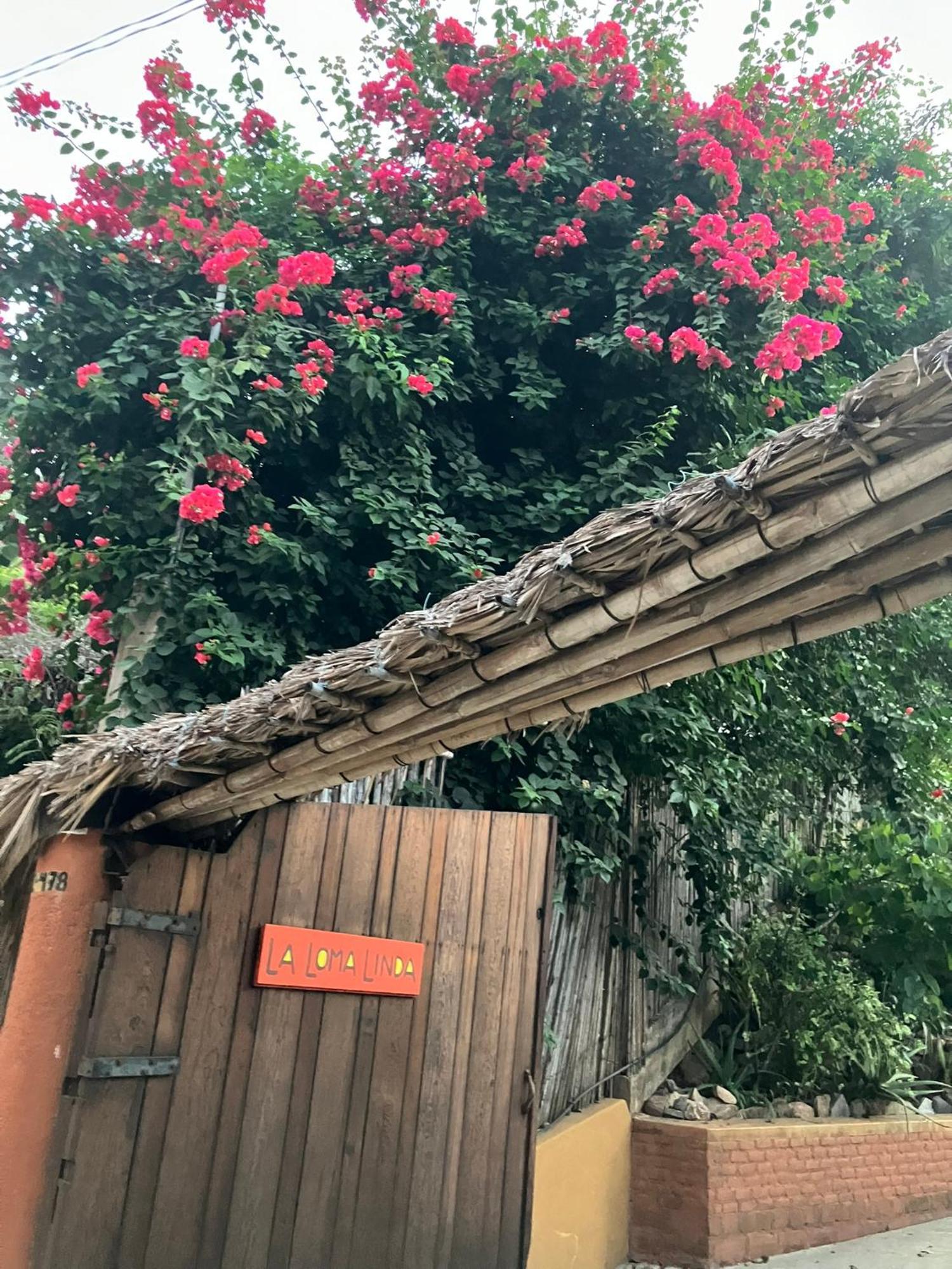 La Loma Linda, Bungalows, Yoga And Feldenkrais, Starlink Internet Hotel 2*