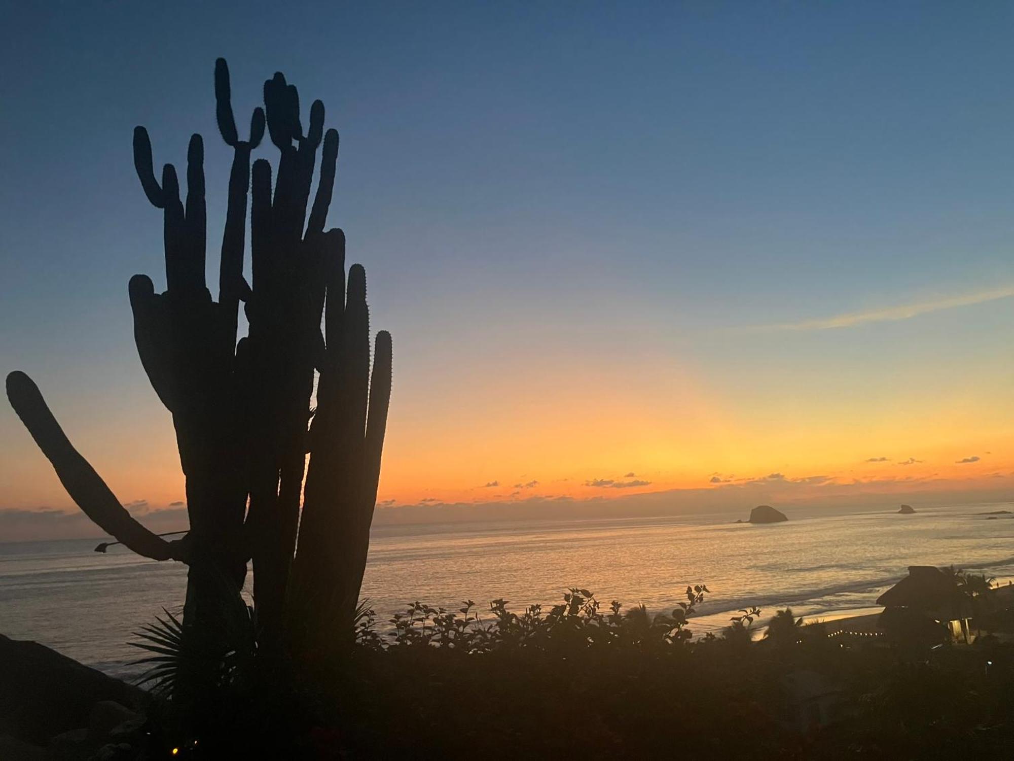 La Loma Linda, Bungalows, Yoga And Feldenkrais, Starlink Internet 2*