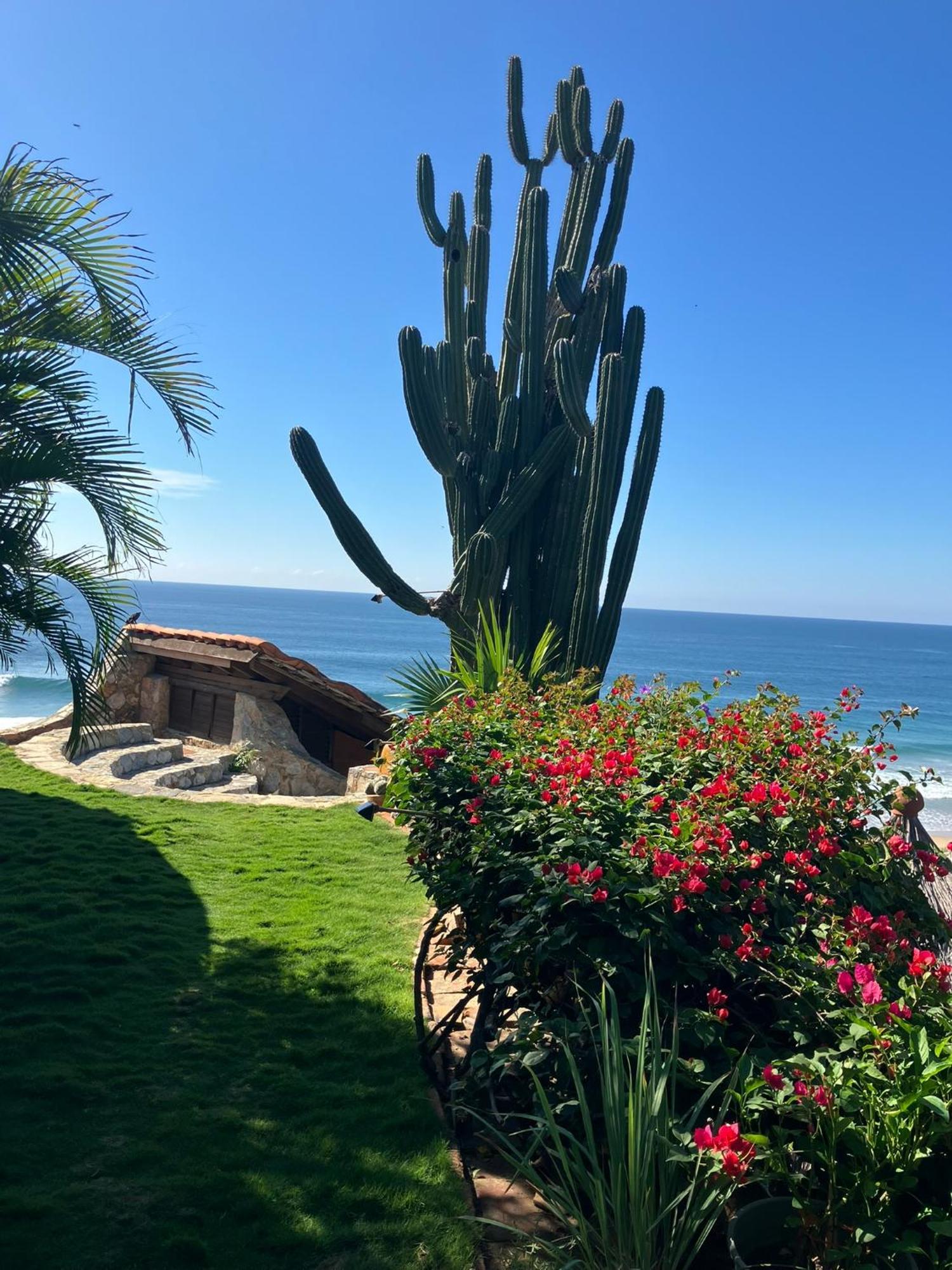 La Loma Linda, Bungalows, Yoga And Feldenkrais, Starlink Internet Zipolite
