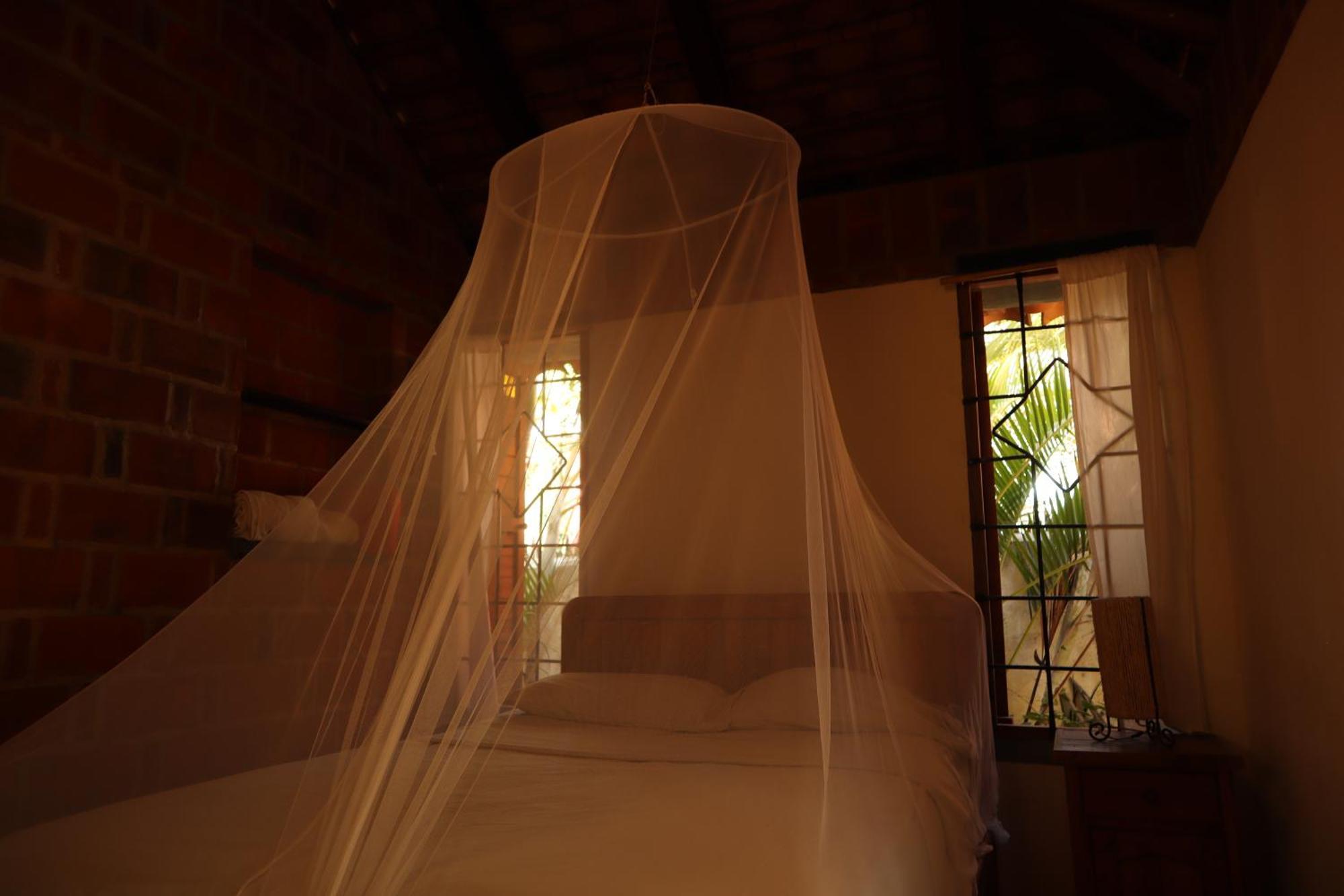 La Loma Linda, Bungalows, Yoga And Feldenkrais, Starlink Internet Hotel